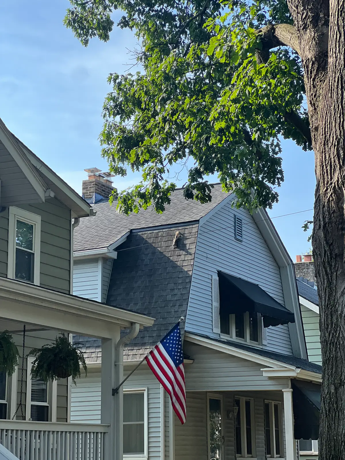 American pride and tranquil suburban vibes. Still Frame