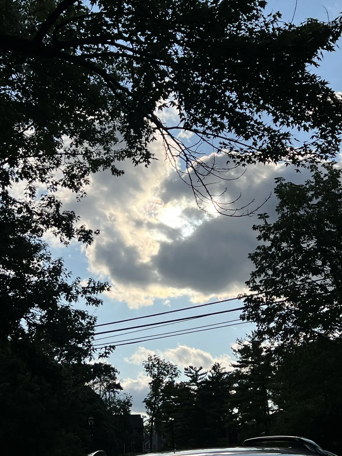 Nature's frame for a radiant sky. Still Frame