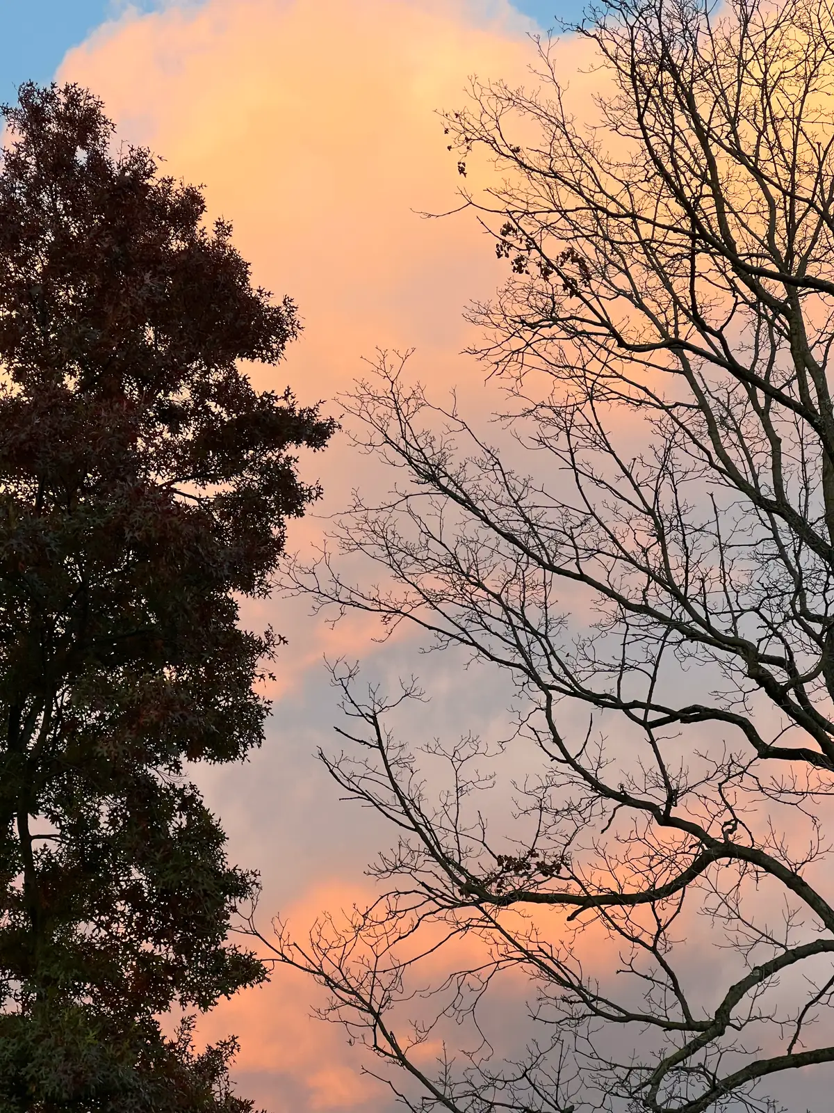 Golden hour dreams painted across the sky. Still Frame