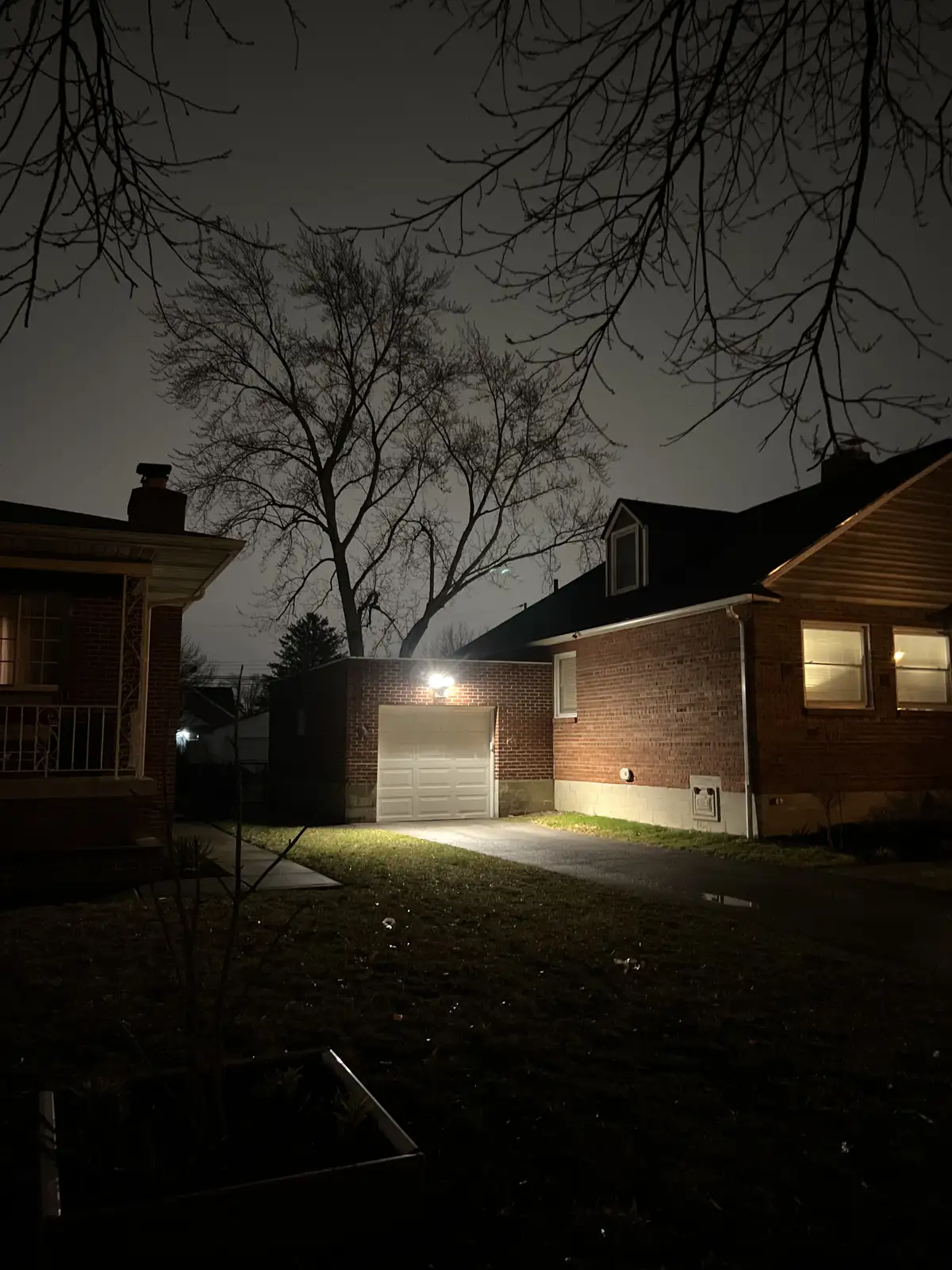 Late night glow in a quiet backyard. Still Frame