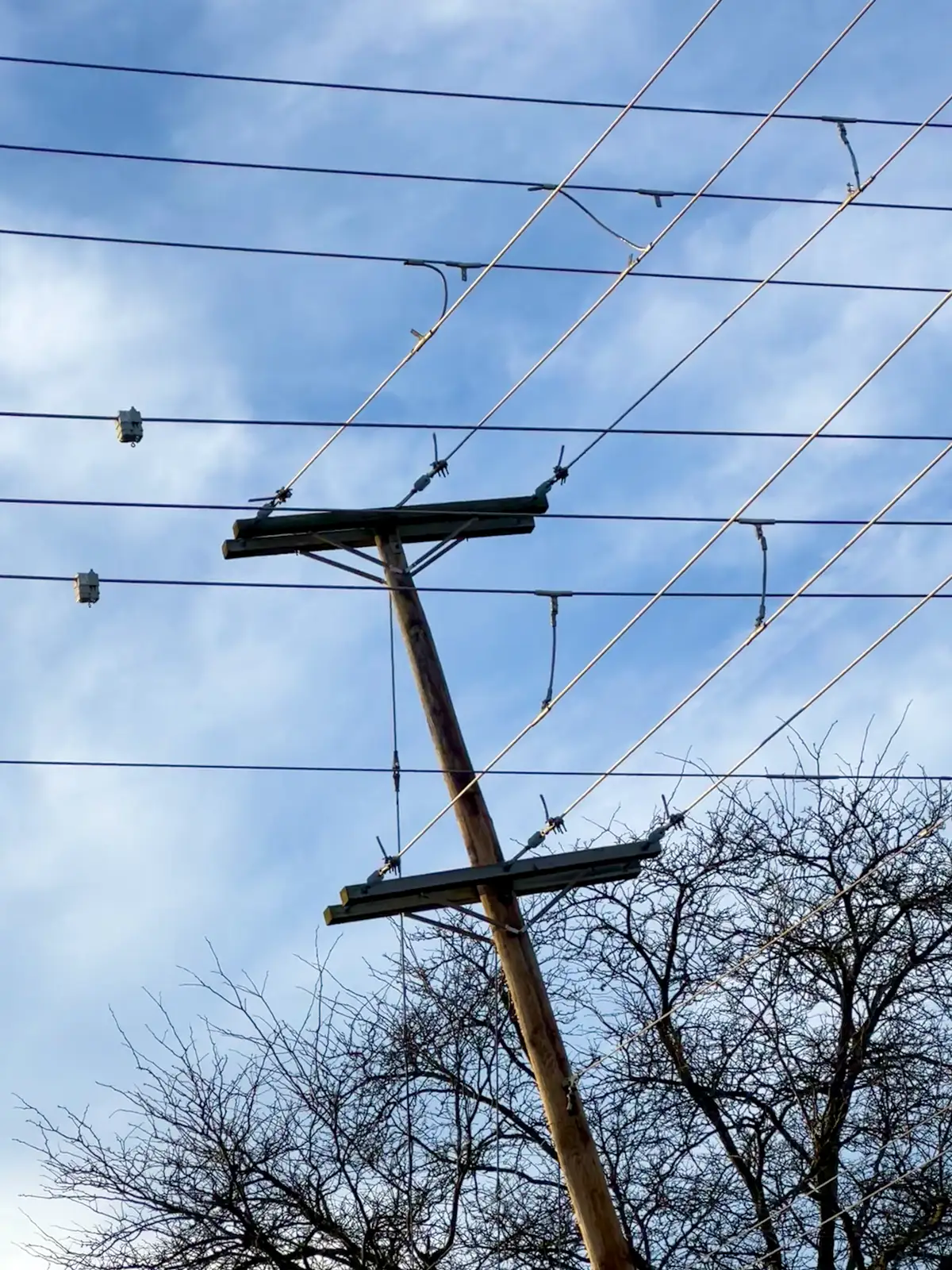 Threads of connection under a vast winter sky. Still Frame