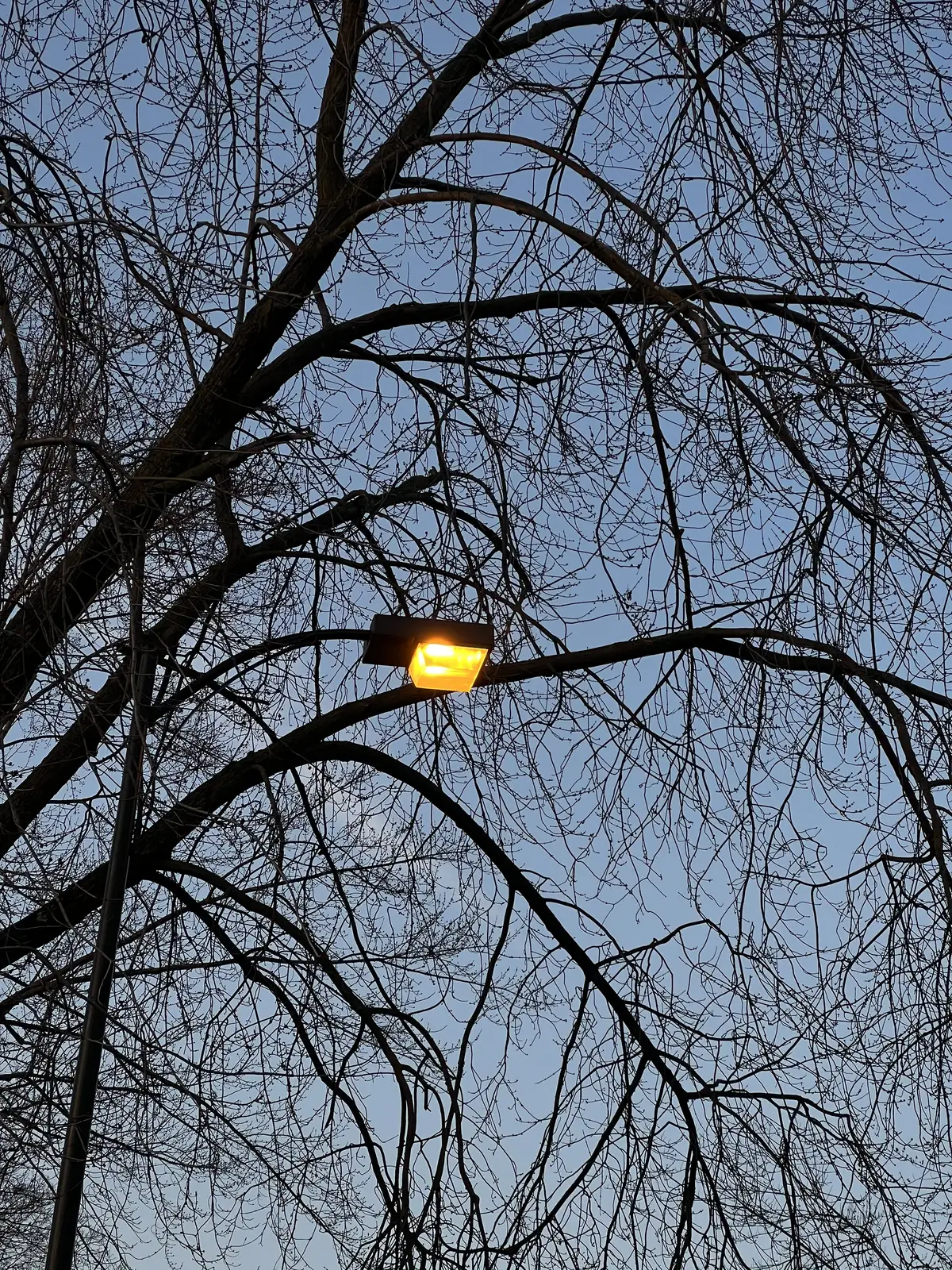 Warm glow in a cool twilight. Still Frame