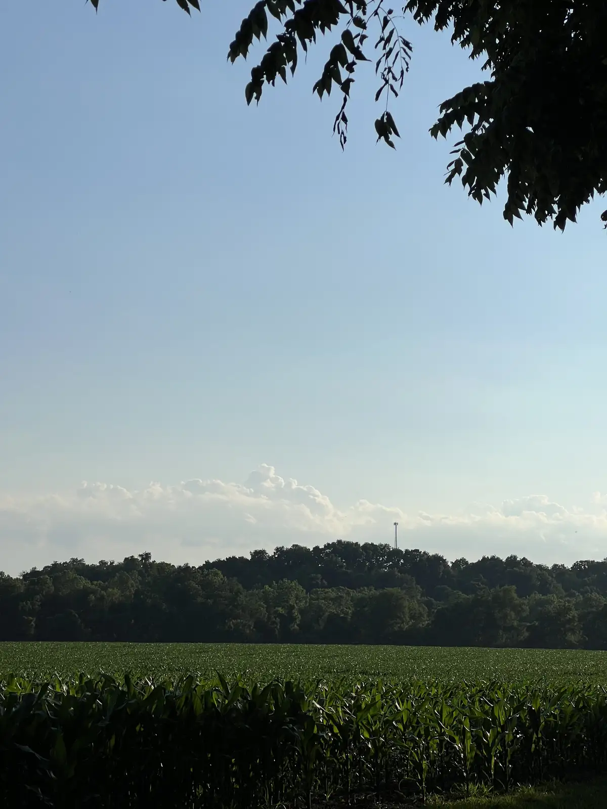 Green fields meet blue skies, a perfect summer day. Still Frame