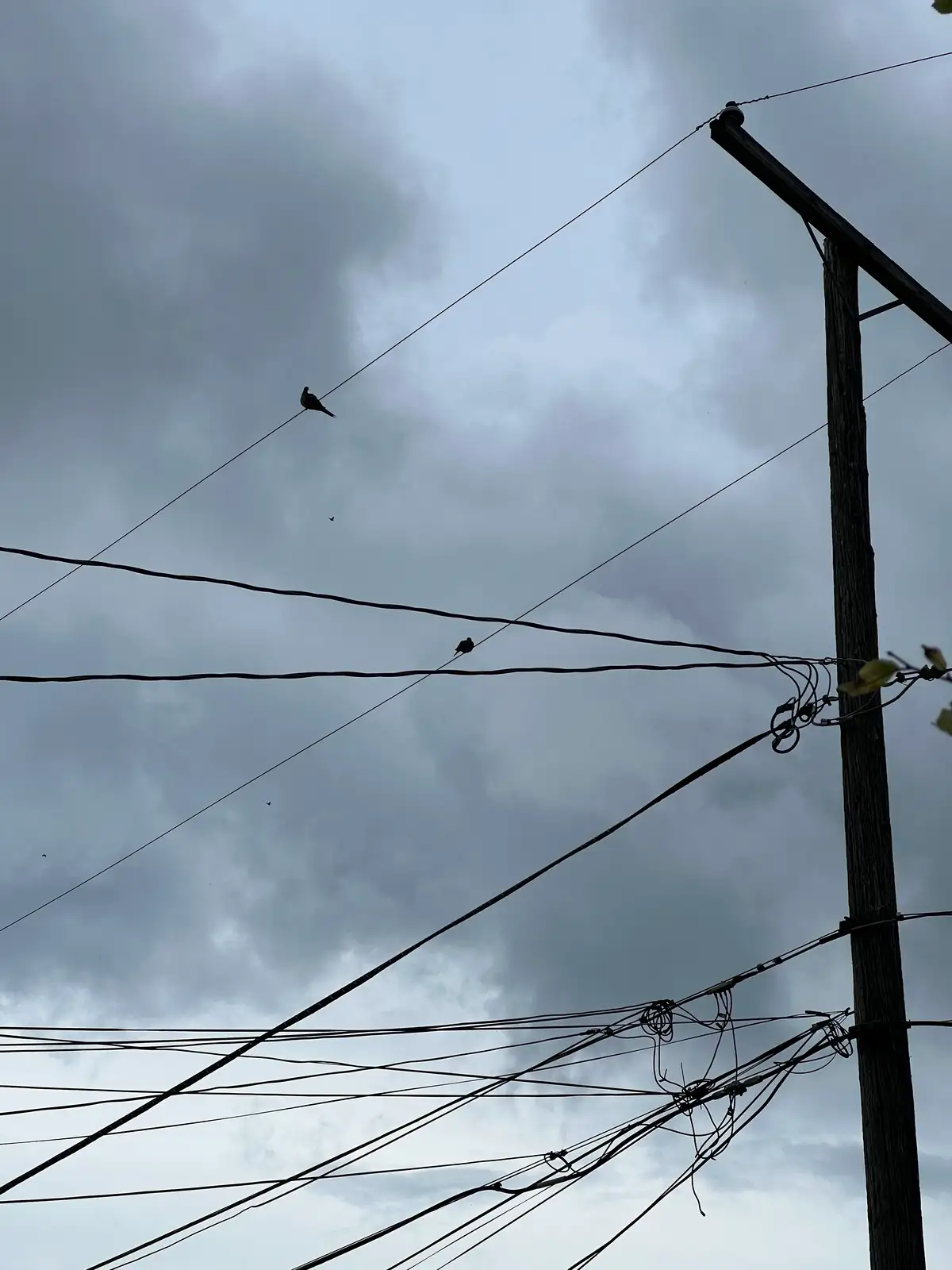 Tangled wires and a moody sky: an urban symphony. Still Frame
