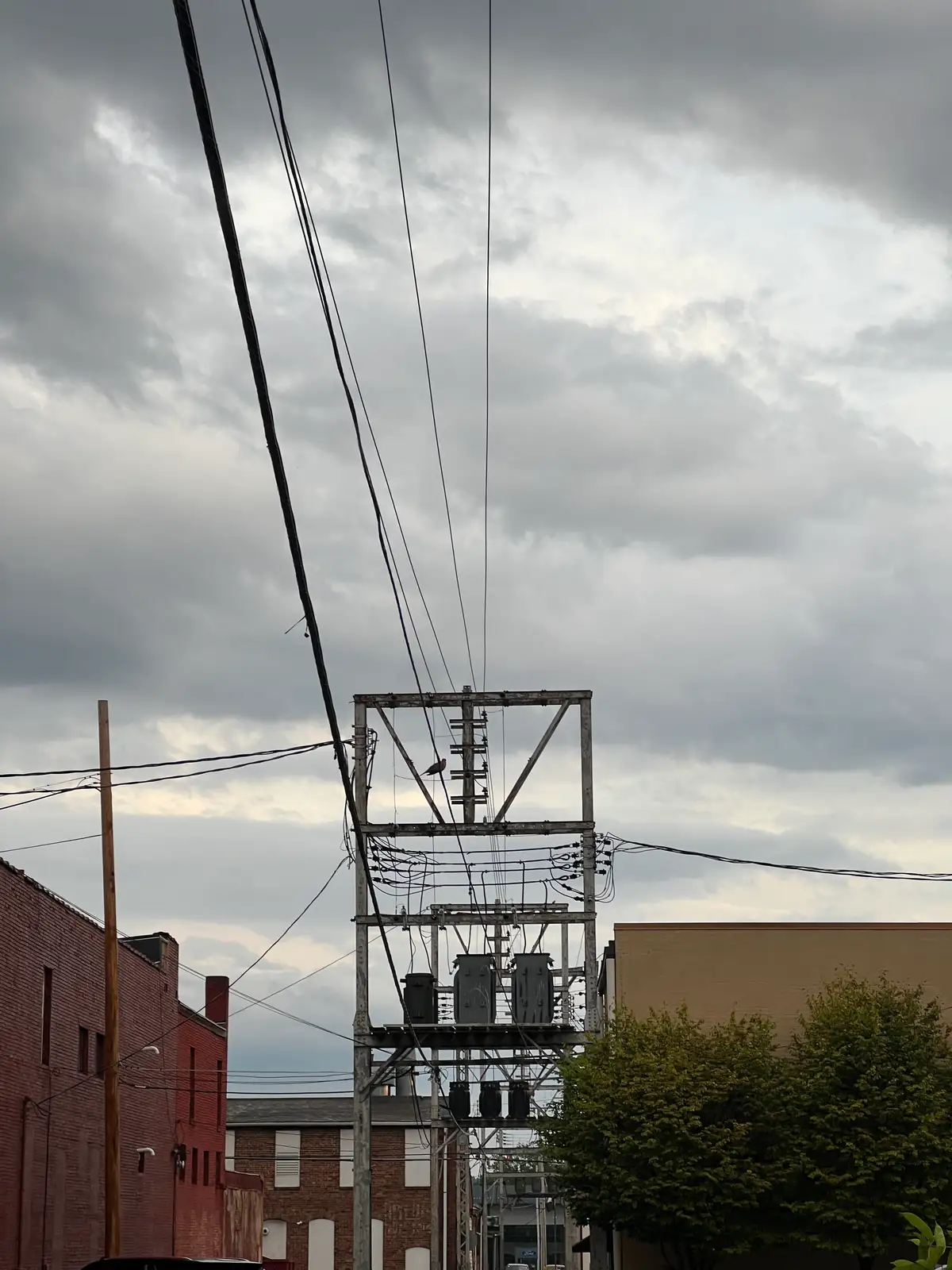 Tangled wires create urban poetry beneath an ominous sky. Still Frame