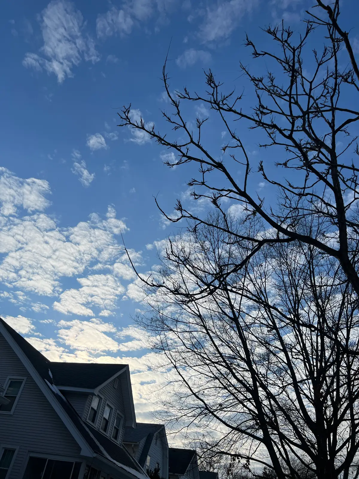 Rooftops peek beneath a captivating, cloud-dotted sky. Still Frame