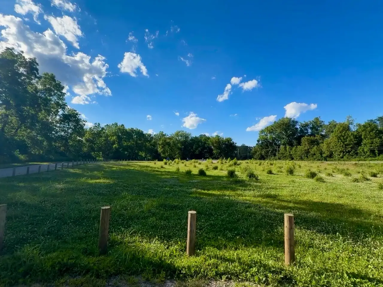 Pure blue skies and endless green fields stretch before us. Still Frame