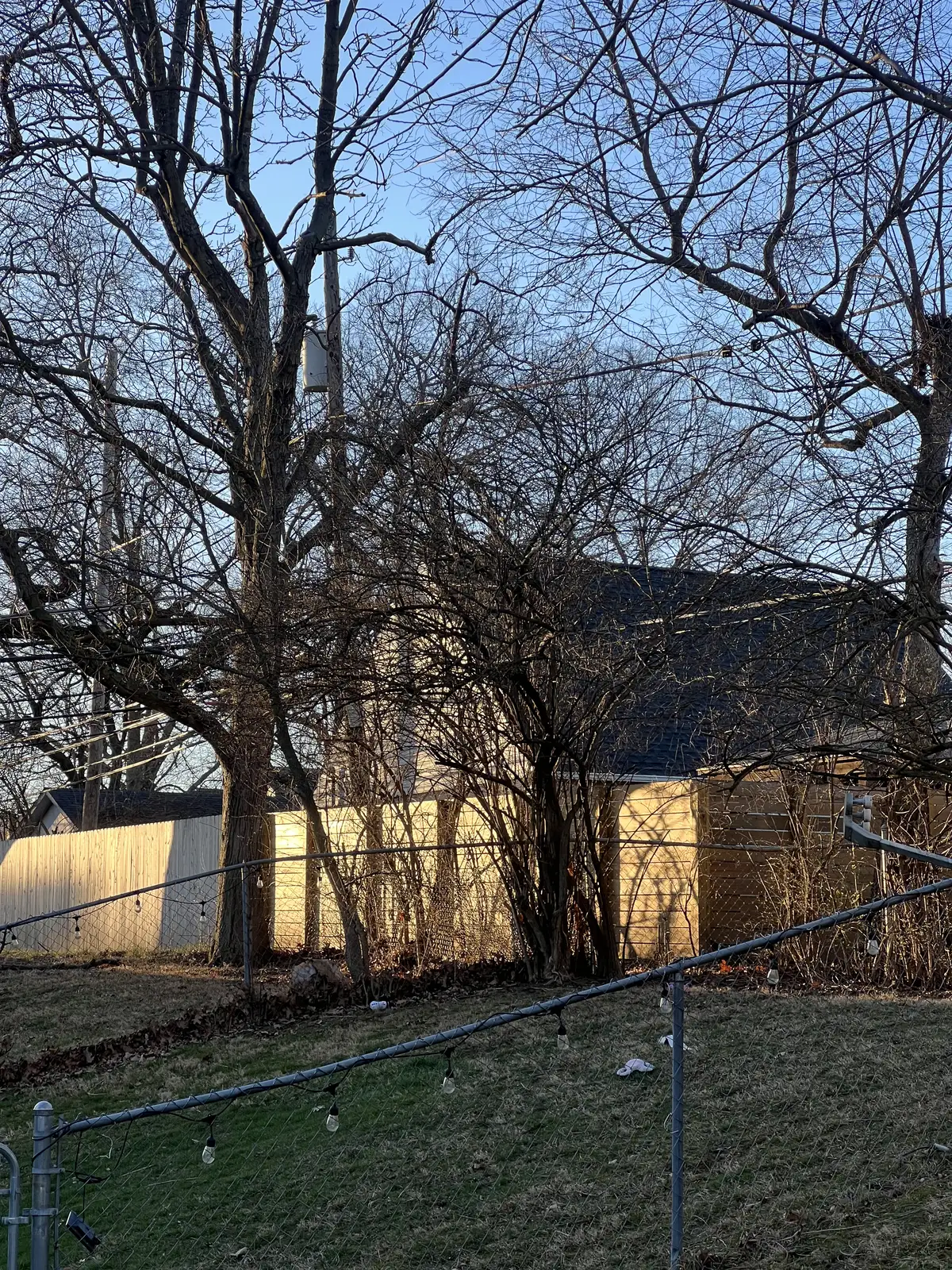 Golden hour glow on a quiet backyard. Still Frame