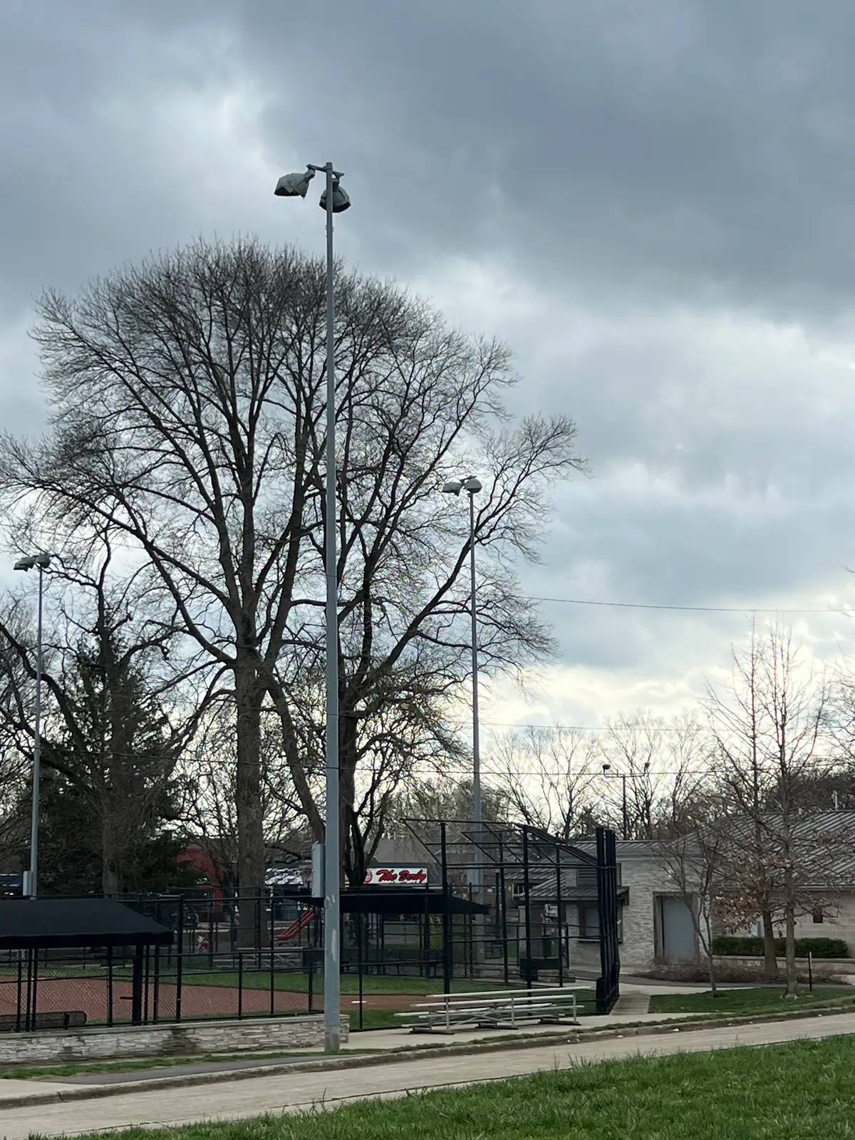 Stillness in the park on a cloudy day. Still Frame