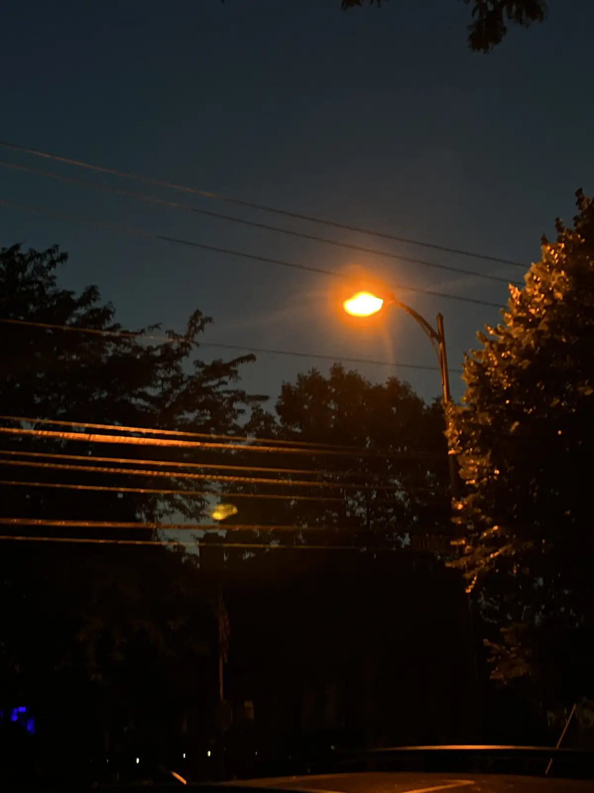 Night's embrace, lit by a single golden glow. Still Frame