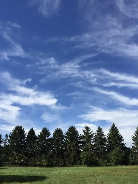 Clear skies and evergreen dreams.