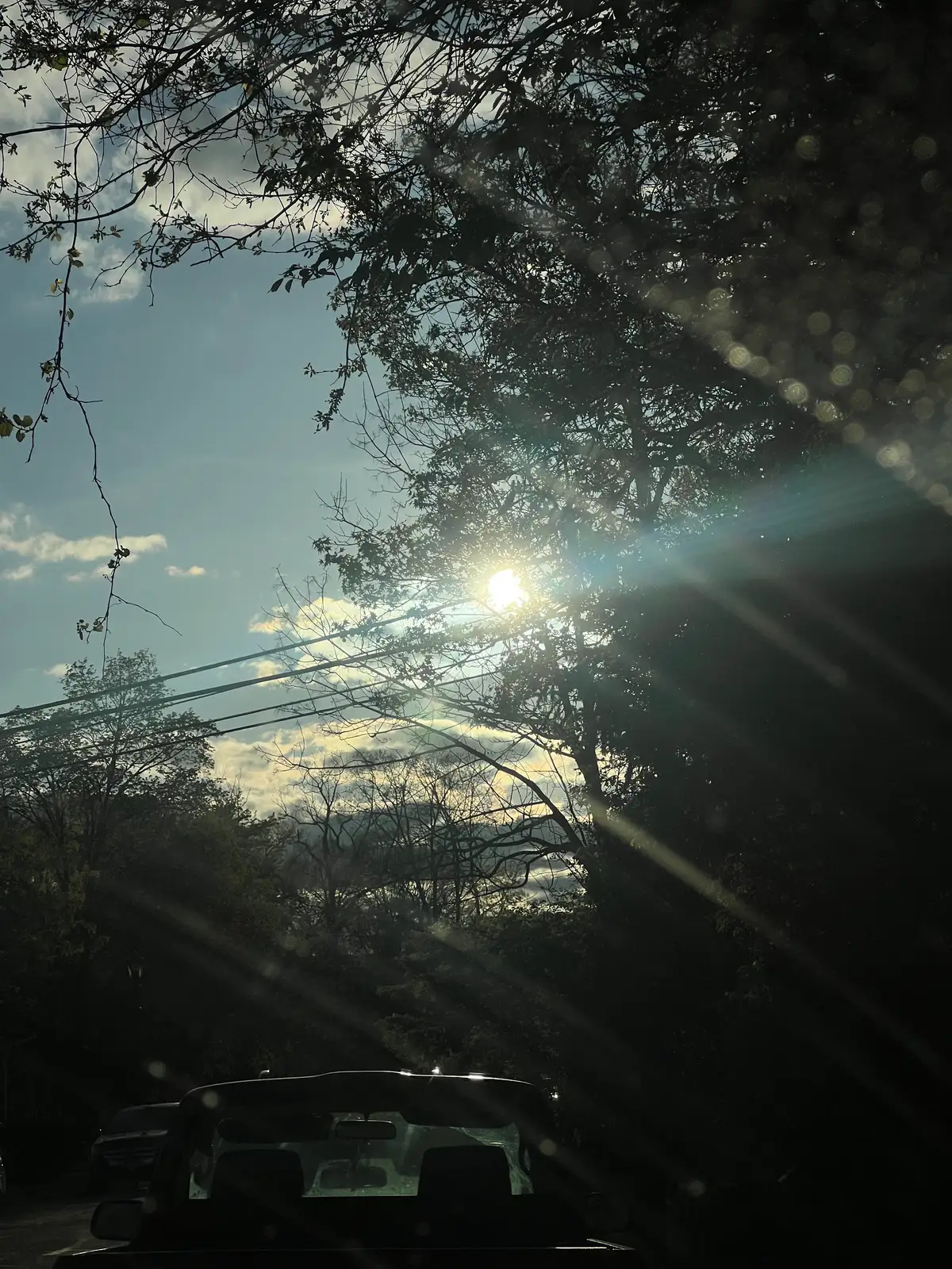 Soaking in the sun's radiant glow. Still Frame