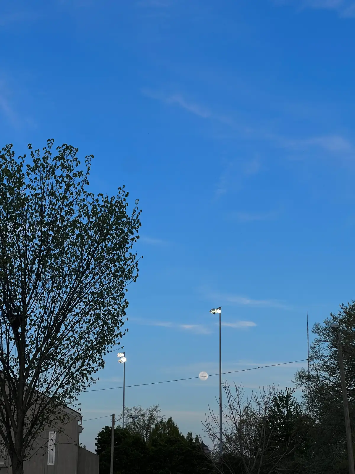 Streetlights shimmer against the tranquil blue. Still Frame