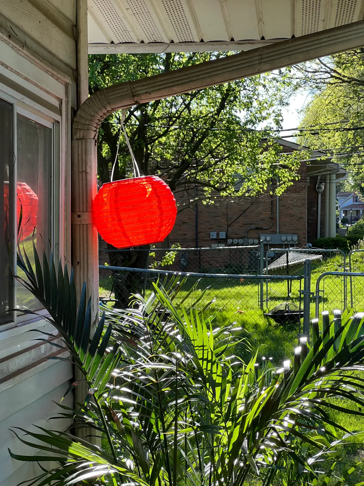 Vibrant red lantern, glowing bright in the sun. Still Frame