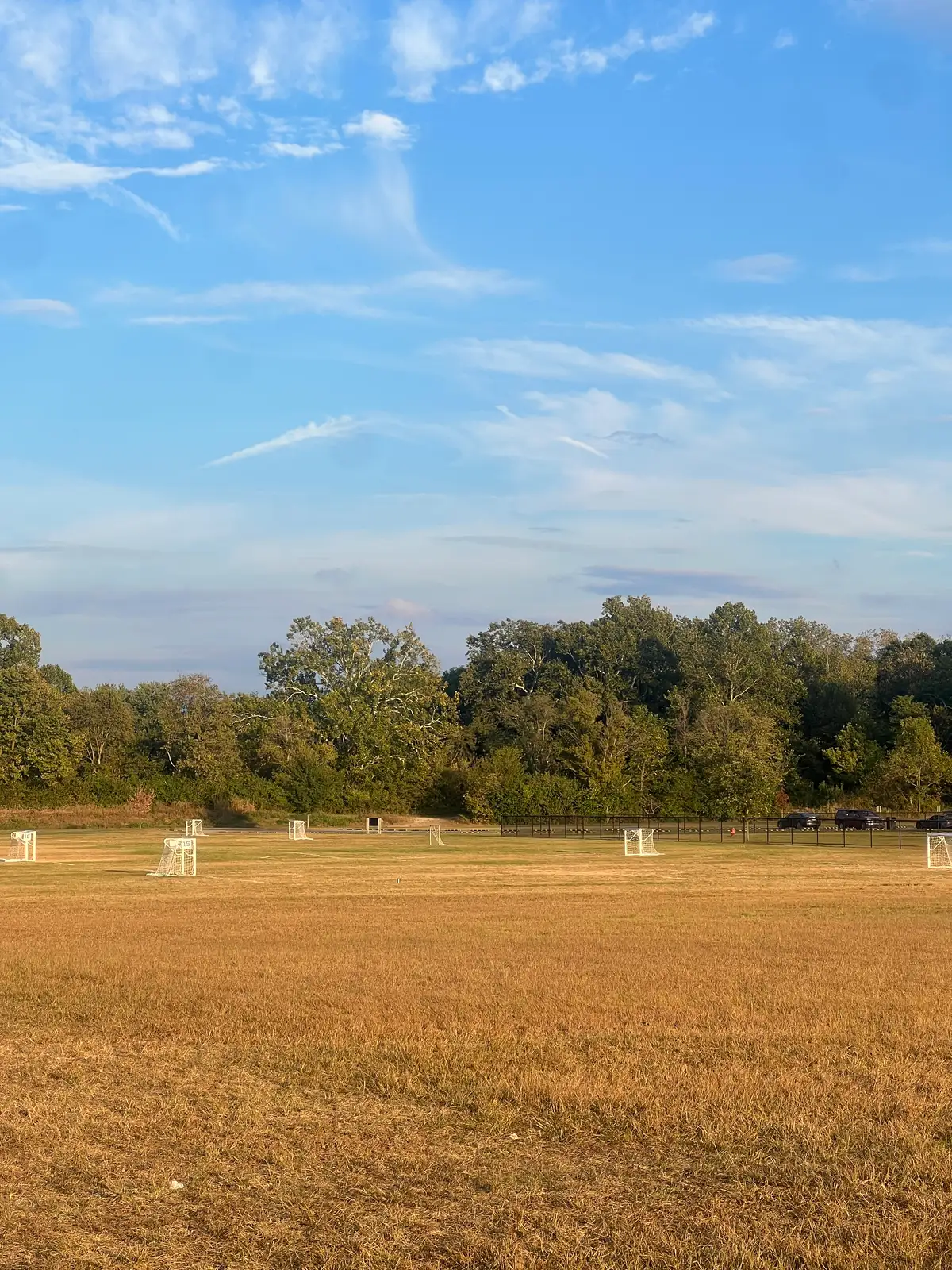 Golden fields stretch to meet a boundless blue sky. Still Frame