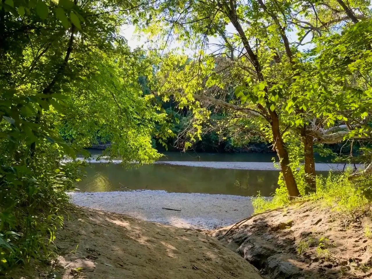 Sunlight dancing on the river's edge. Still Frame