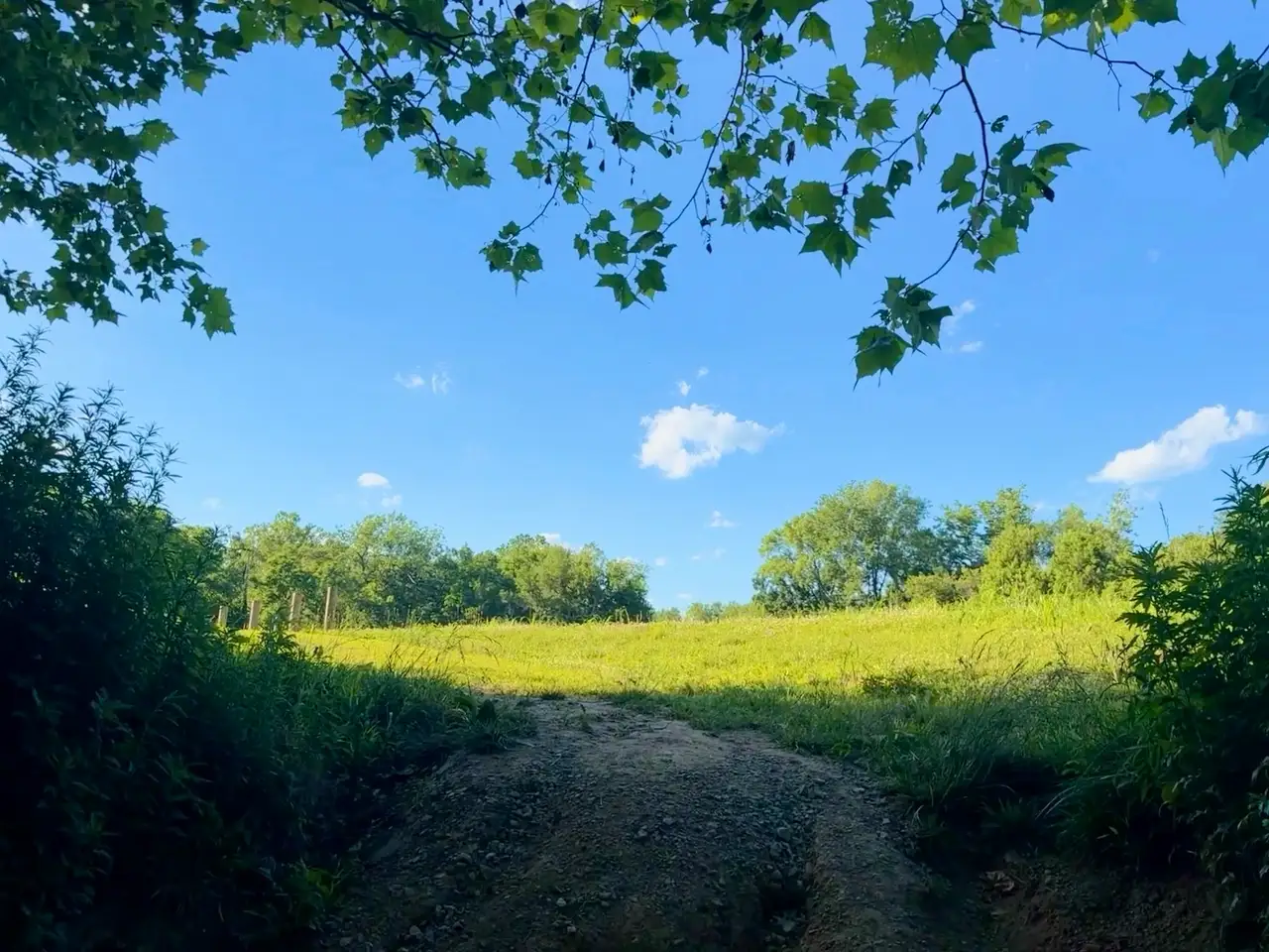 Step into serene nature: sun-drenched paths and endless blue skies. Still Frame