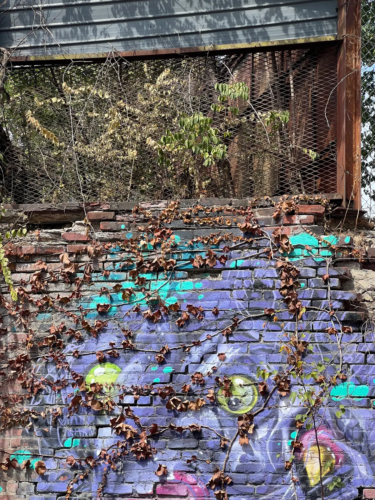Where street art and nature intertwine. Still Frame