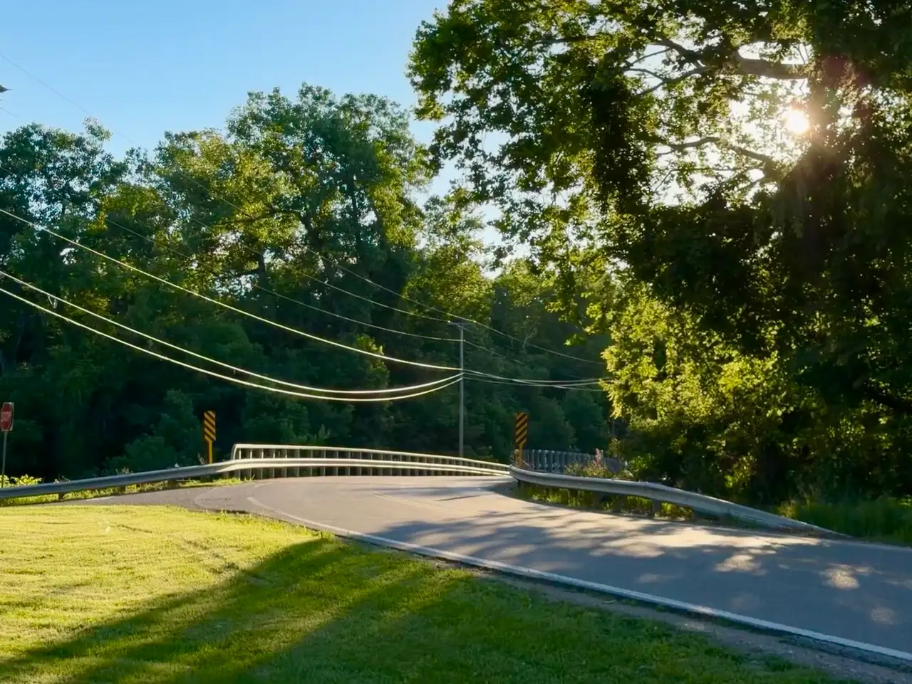 Sun-drenched curves and endless green. Still Frame