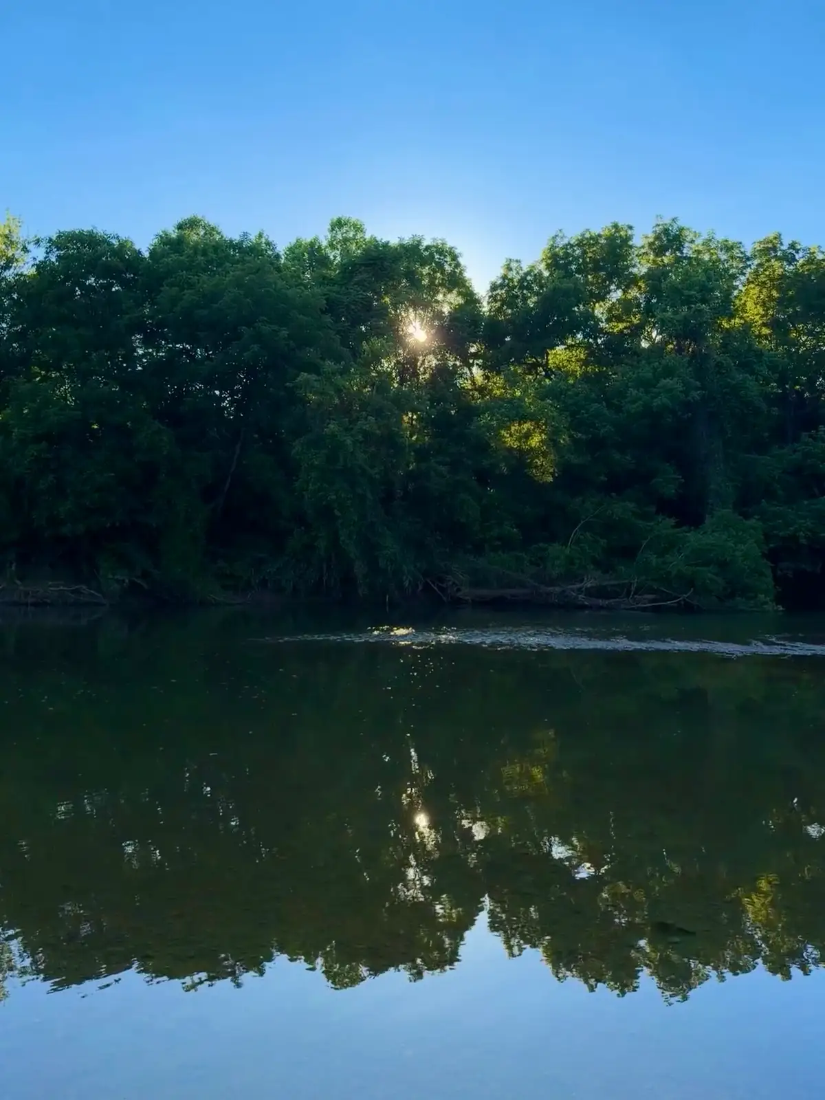 Sun-kissed trees reflect in the peaceful river. Still Frame
