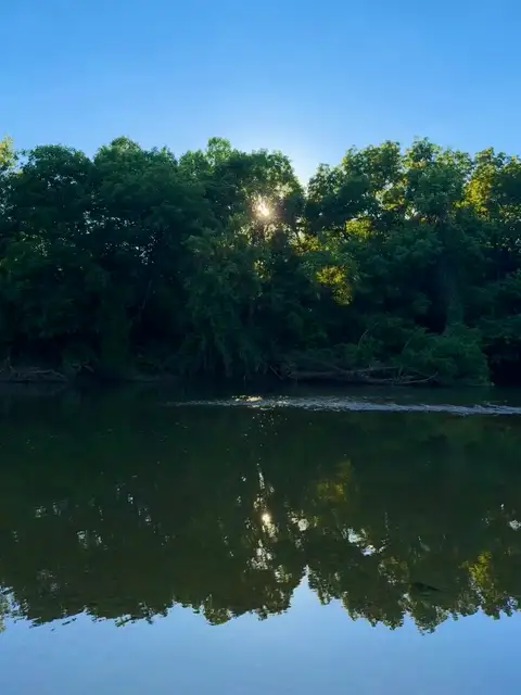 Sun-kissed trees reflect in the peaceful river.