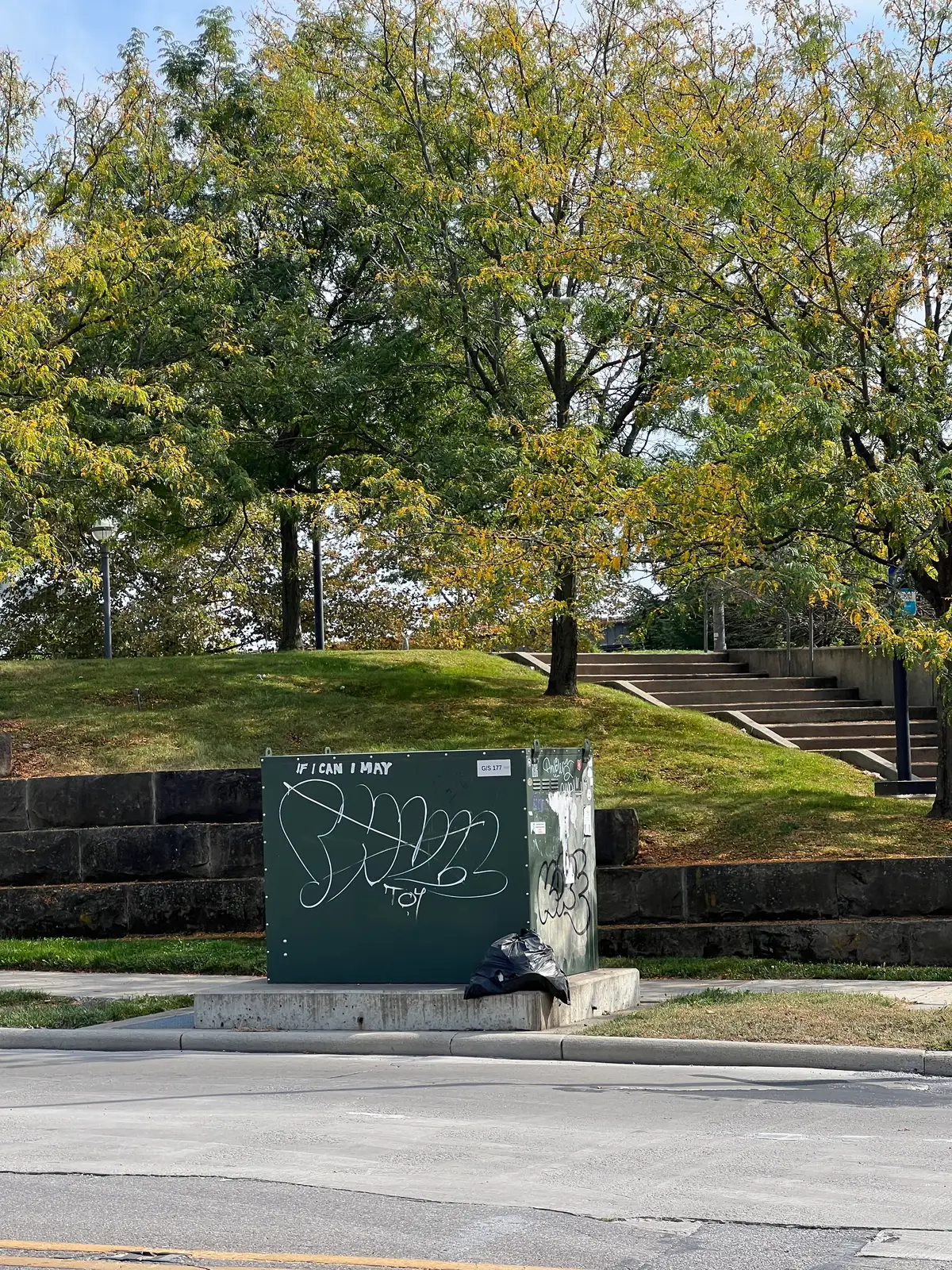 Urban canvas meets autumn's quiet corners. Still Frame