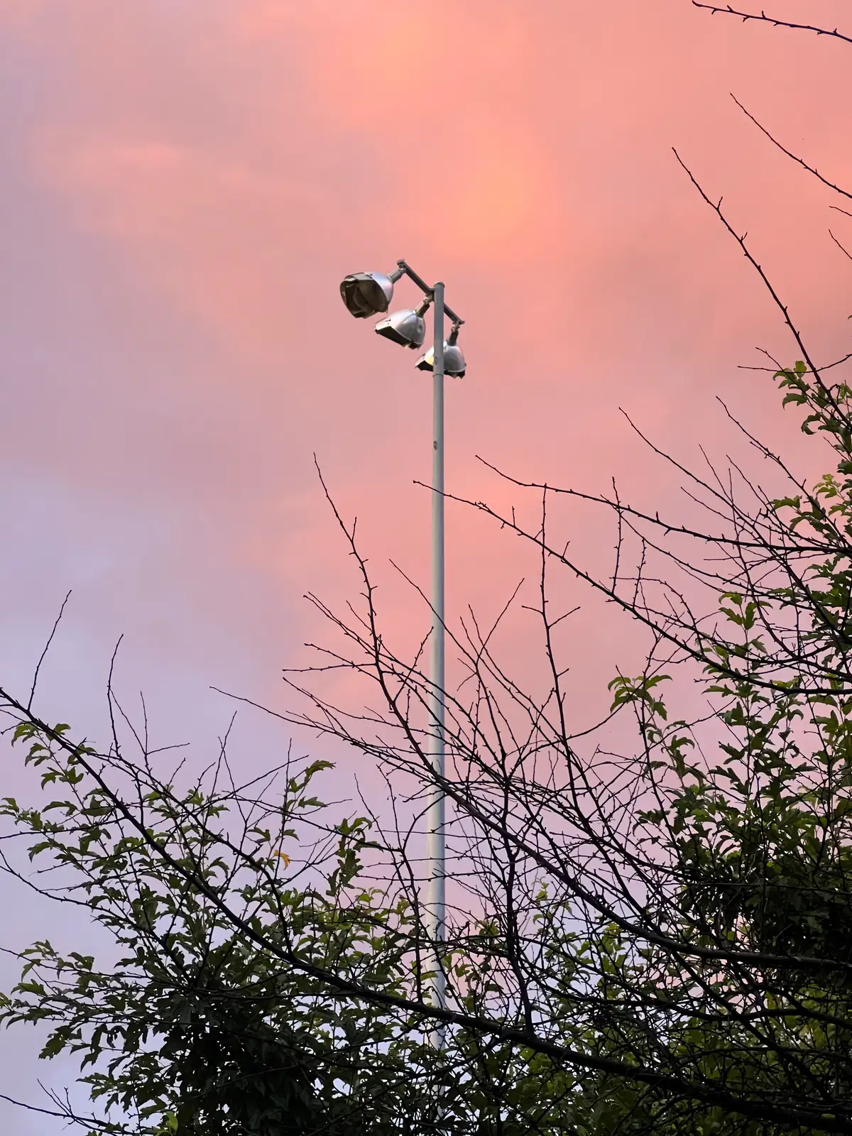 Cotton candy skies and a lone street light. Still Frame