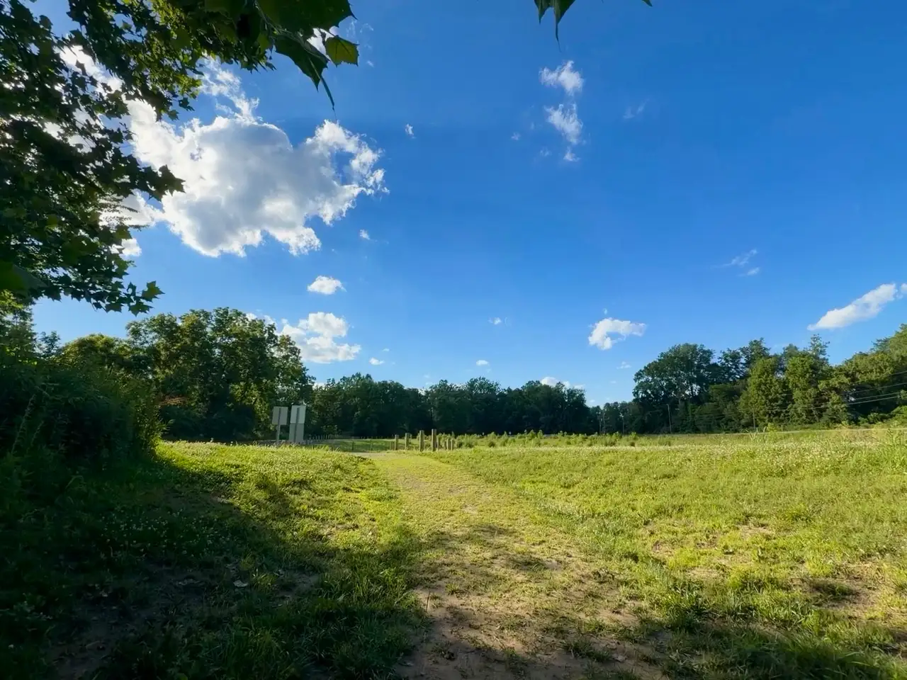 Sun-kissed fields under a brilliant blue sky. Still Frame