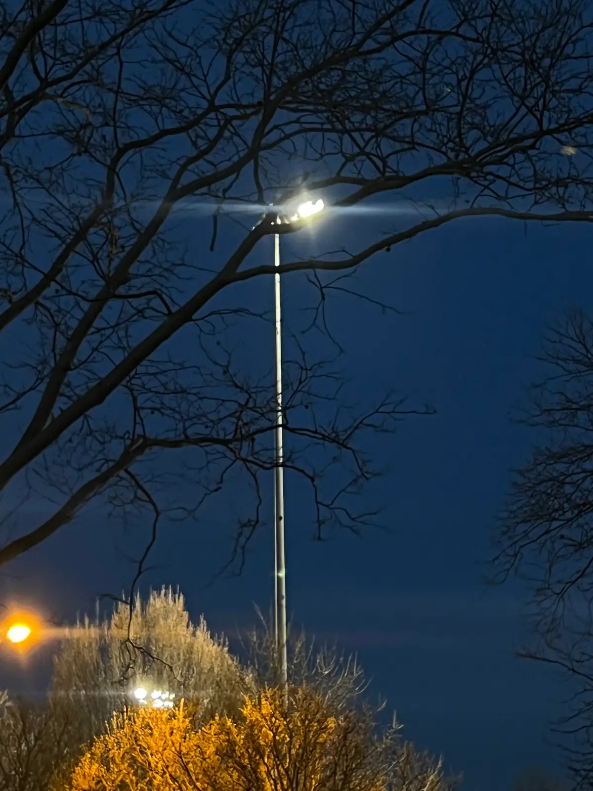 Night's silent glow, piercing the dark. Still Frame