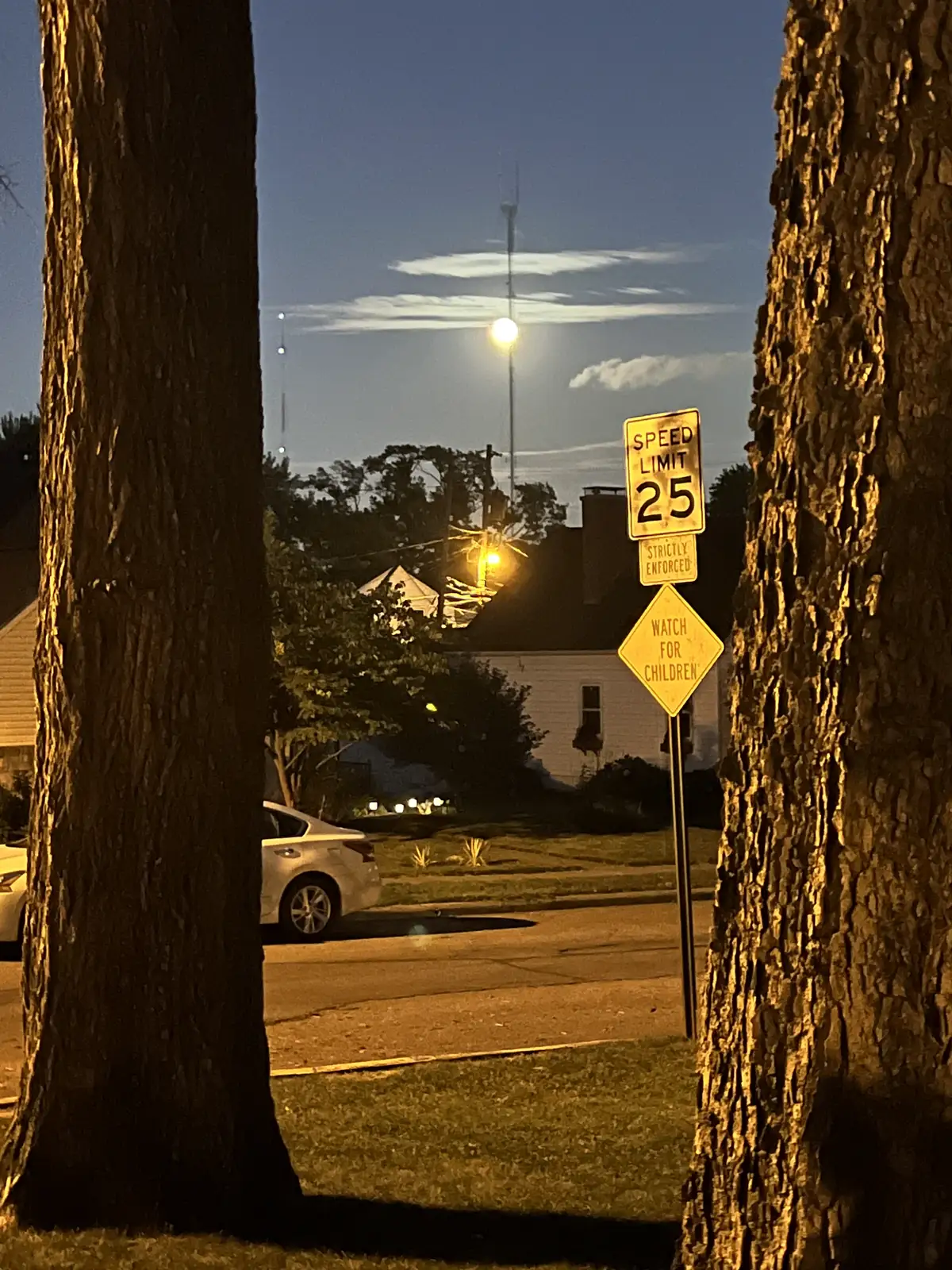 Street signs catch the warm glow of a quiet, moonlit evening.