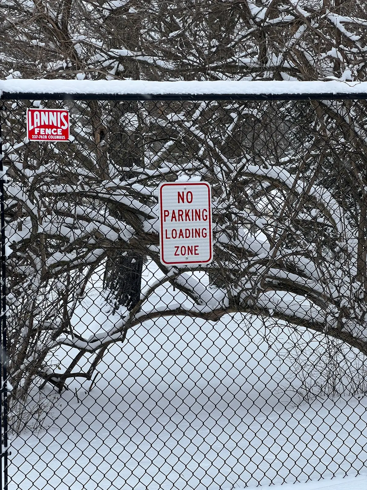 Snow day, but parking rules still apply. Still Frame