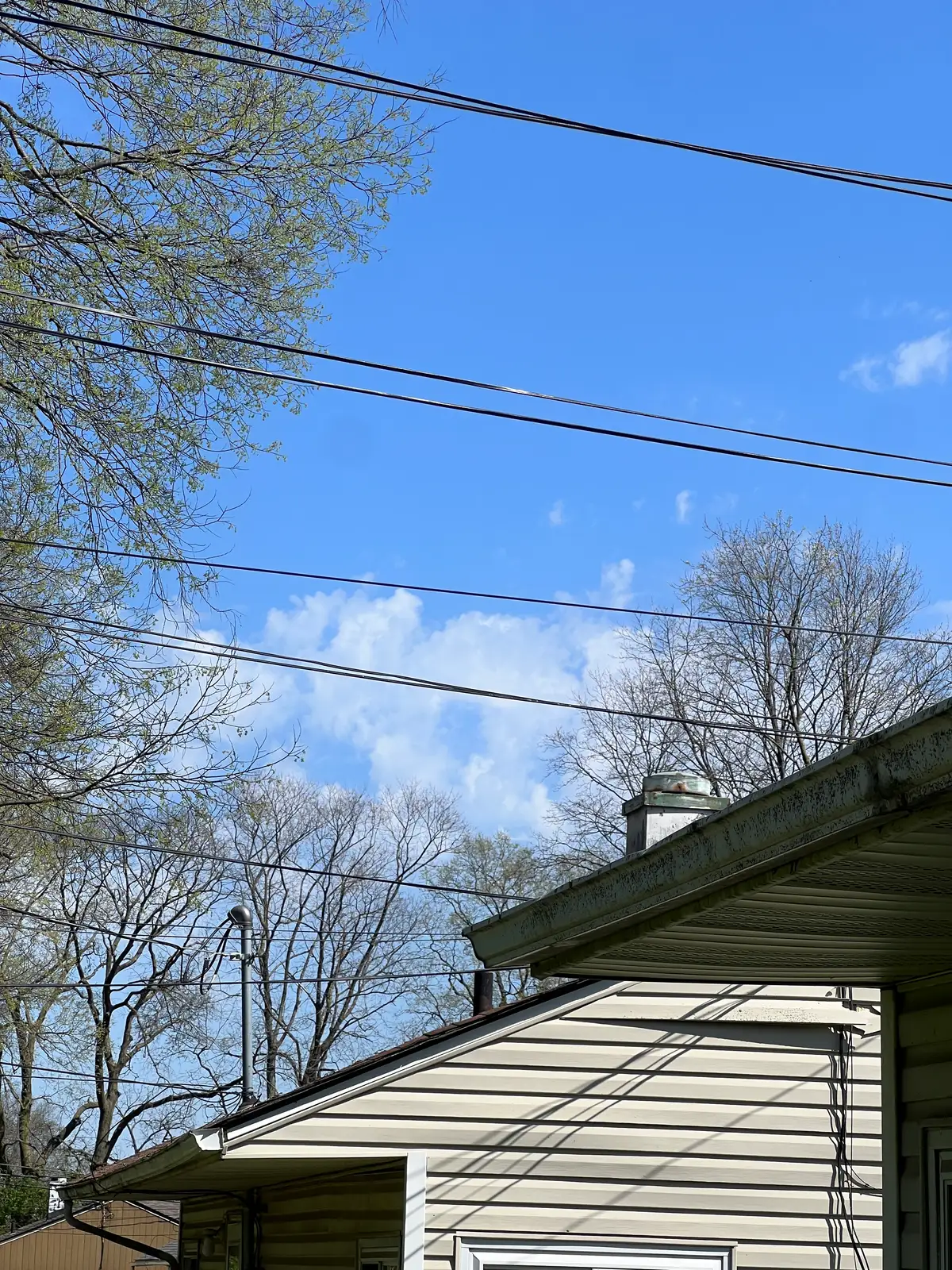 Clear skies, everyday lines, peaceful view. Still Frame