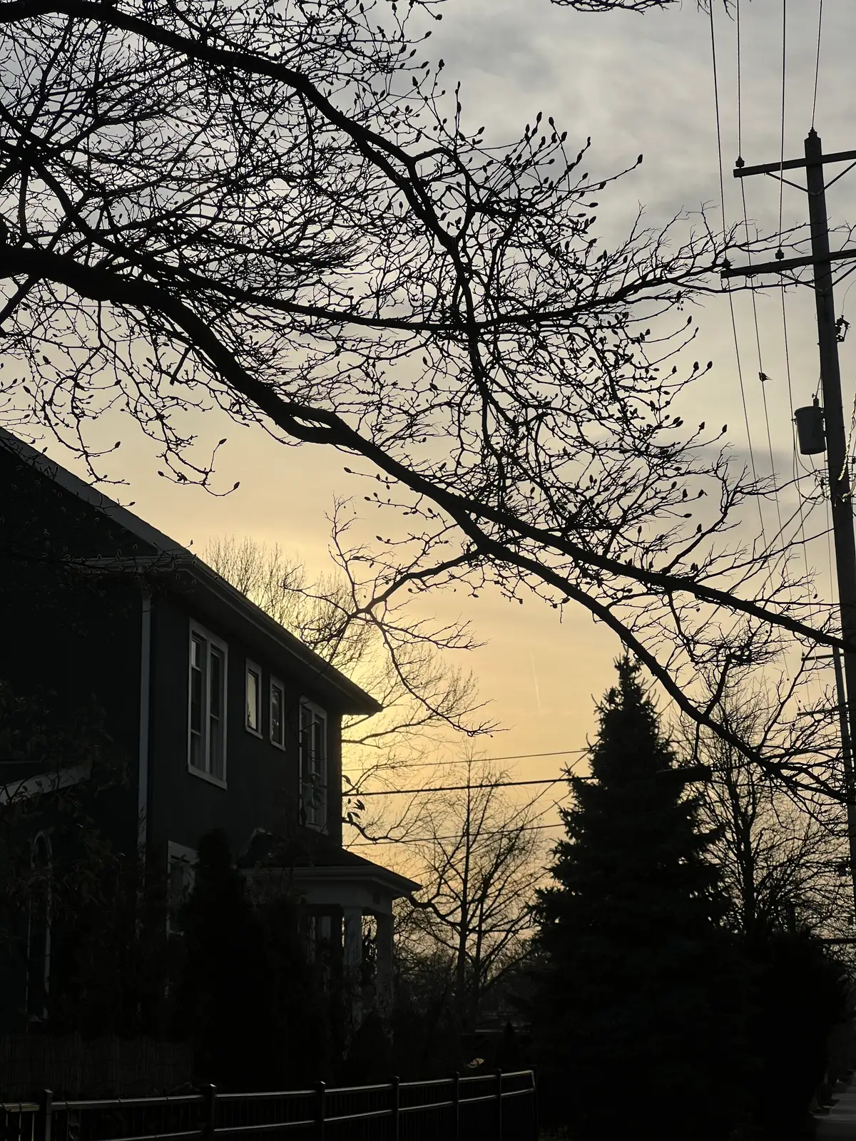 Quiet moments as the sky turns gold. Still Frame
