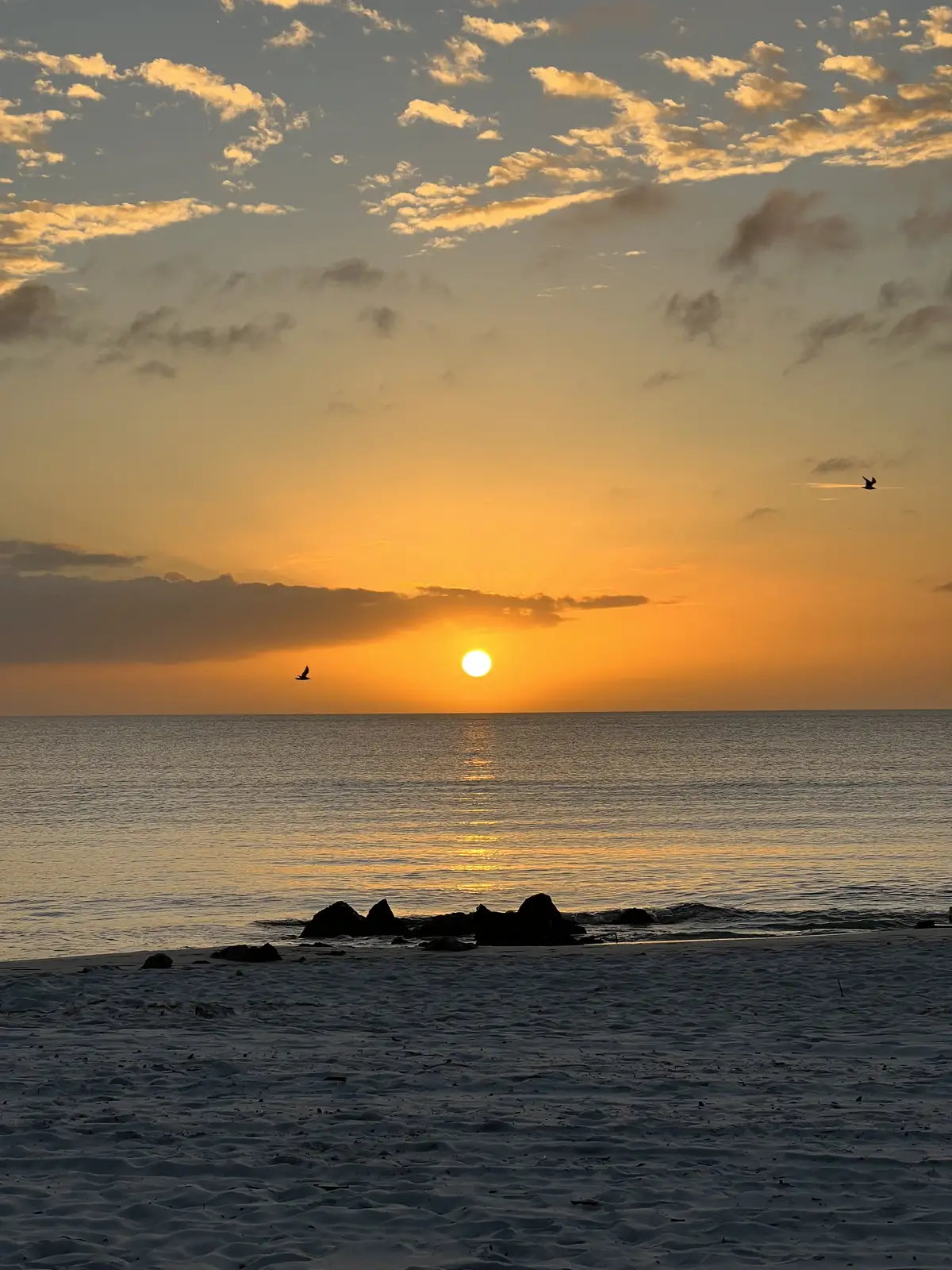 Golden hour glow over the tranquil ocean. Still Frame