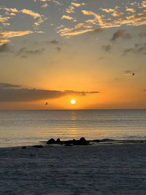 Golden hour glow over the tranquil ocean.