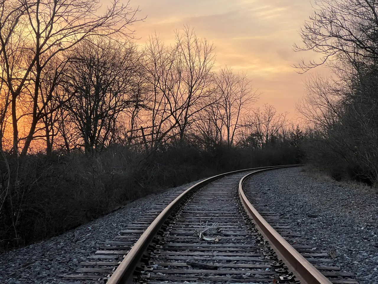 Where the tracks meet the twilight glow. Still Frame
