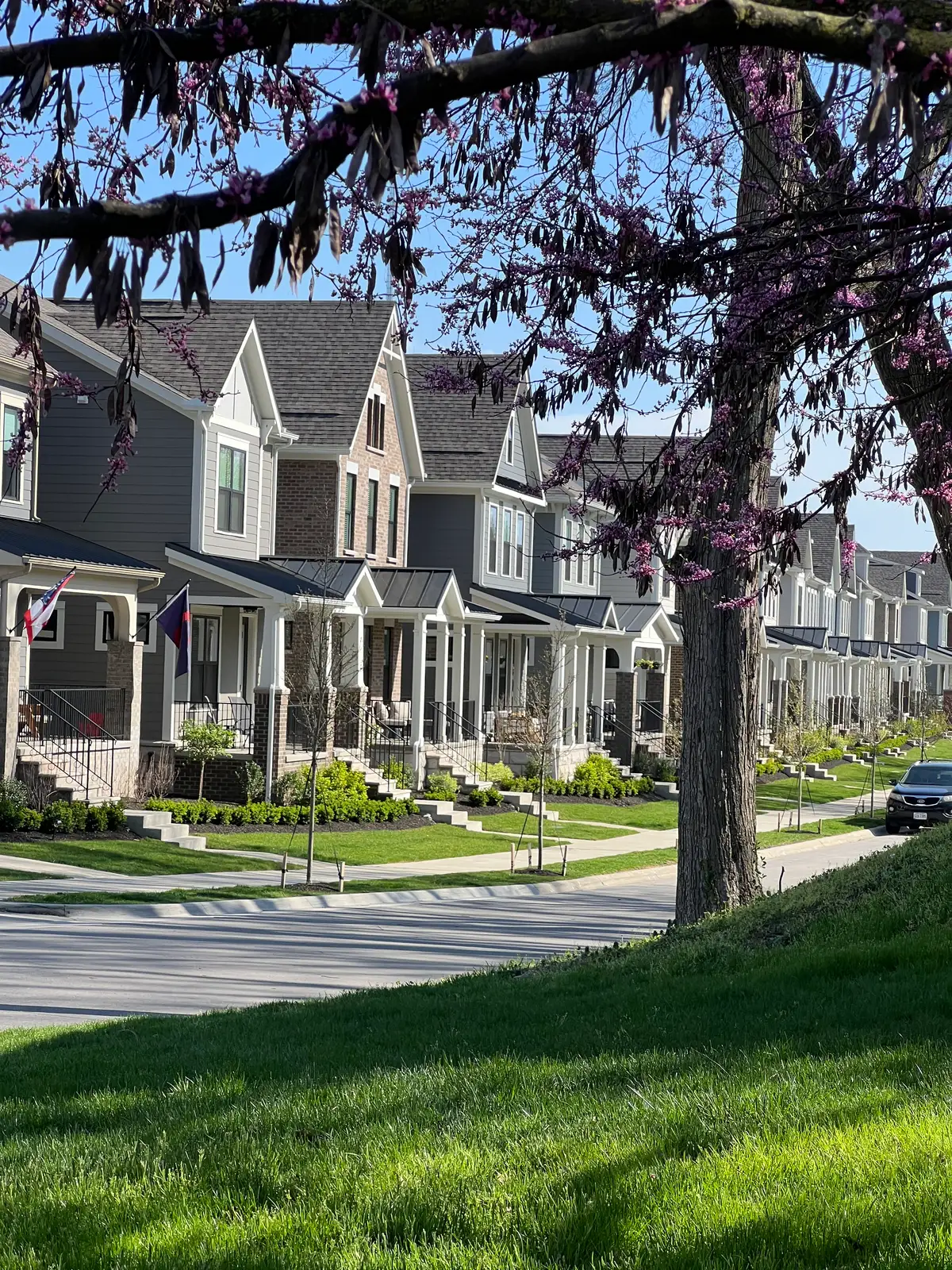 Suburban charm framed by beautiful spring blossoms. Still Frame