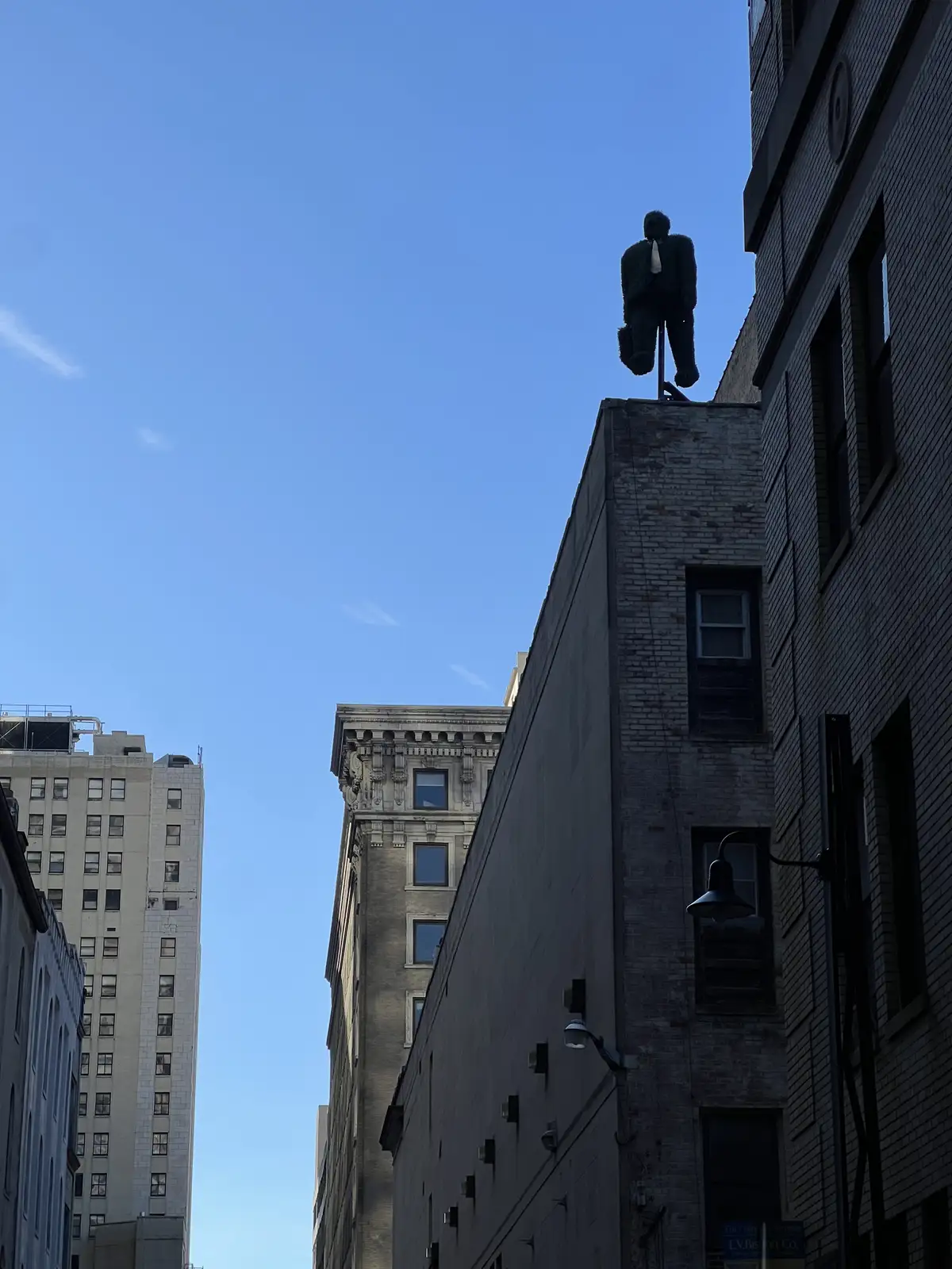 An unexpected rooftop resident against the blue. Still Frame