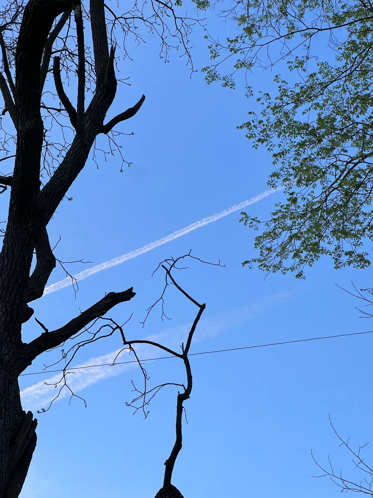 Contrails cut through the vibrant blue. Still Frame