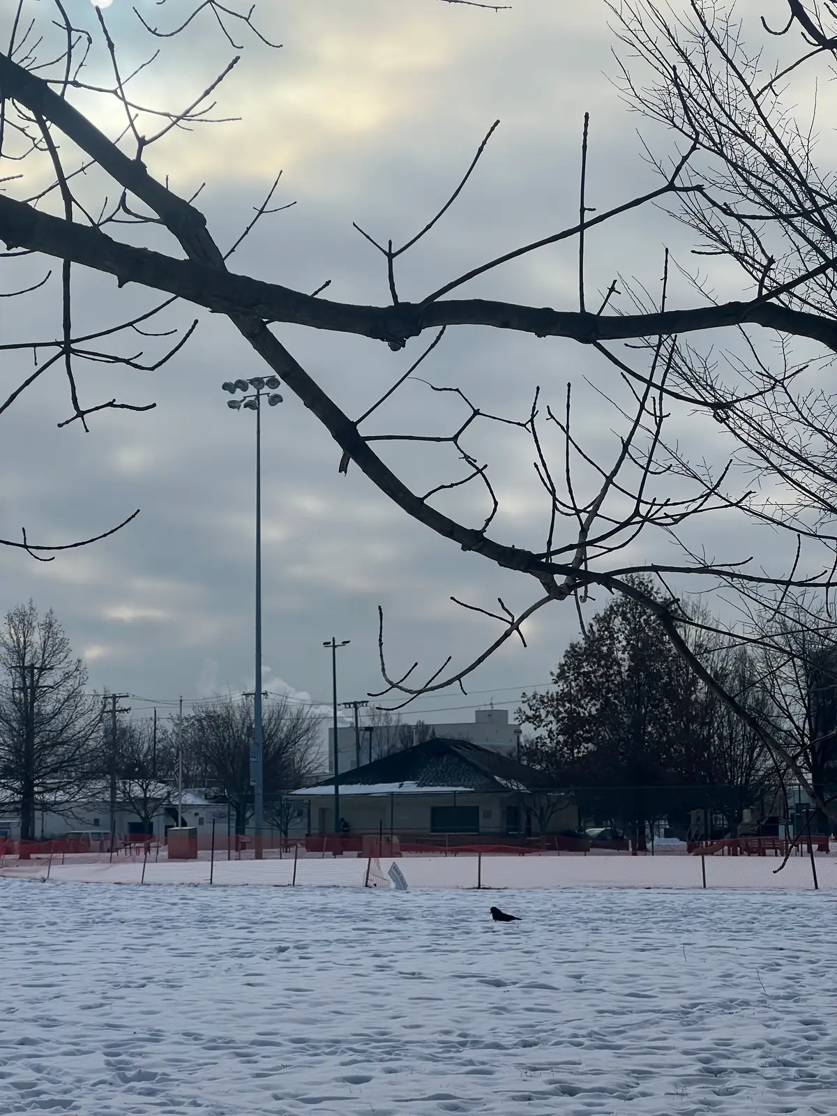 Winter's quiet embrace settles over the park. Still Frame