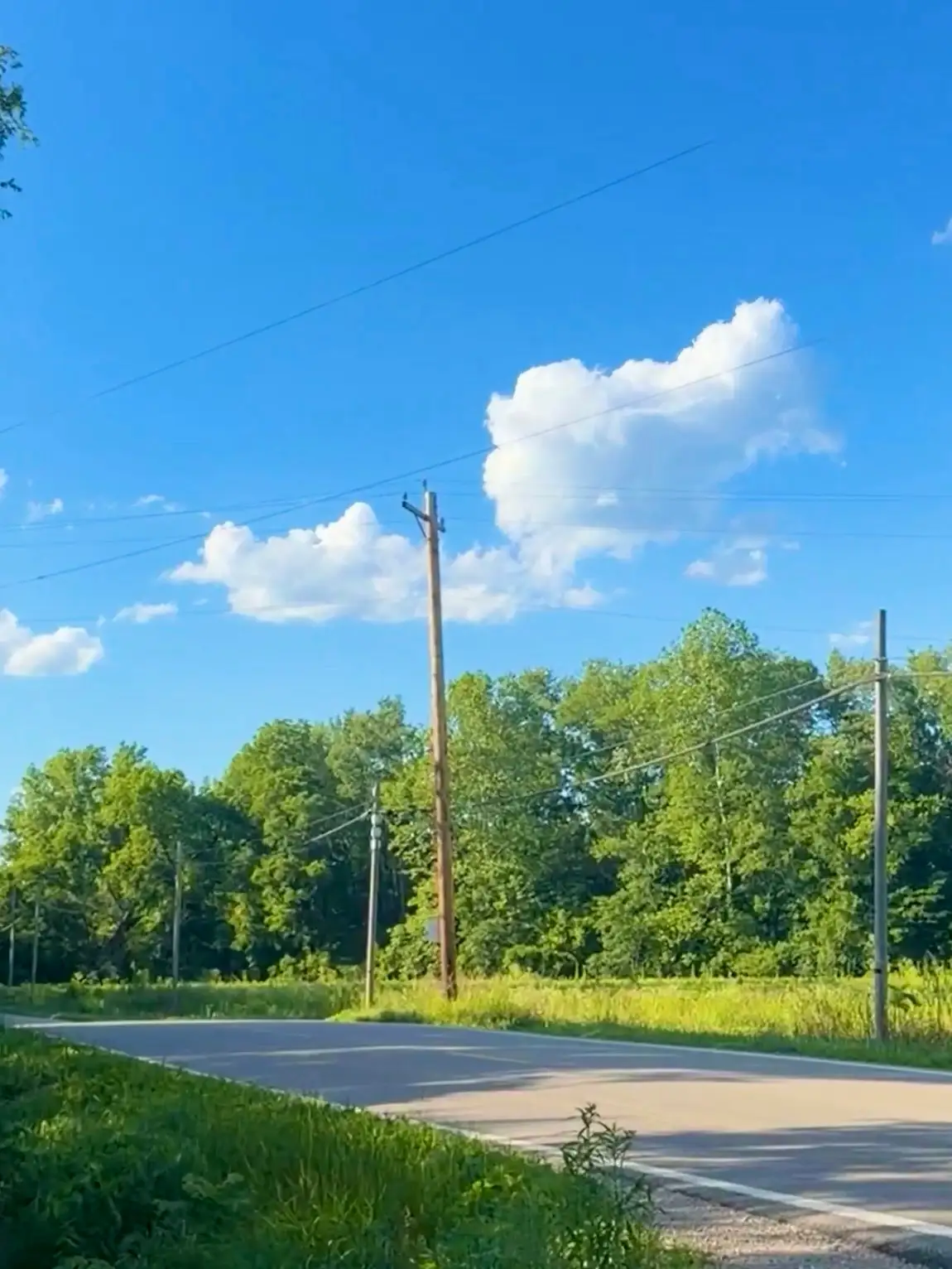 Sunshine and open roads make for a perfect day. Still Frame