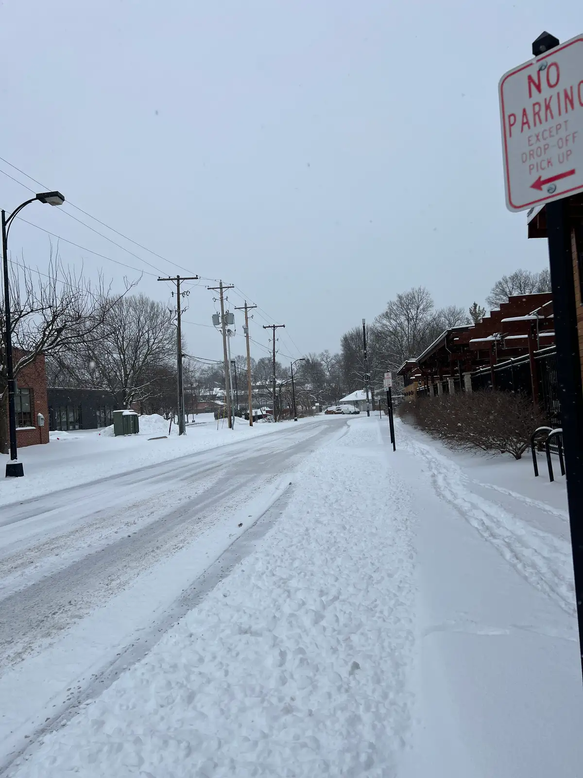 Snow blankets the street in a serene, silent hush. Still Frame