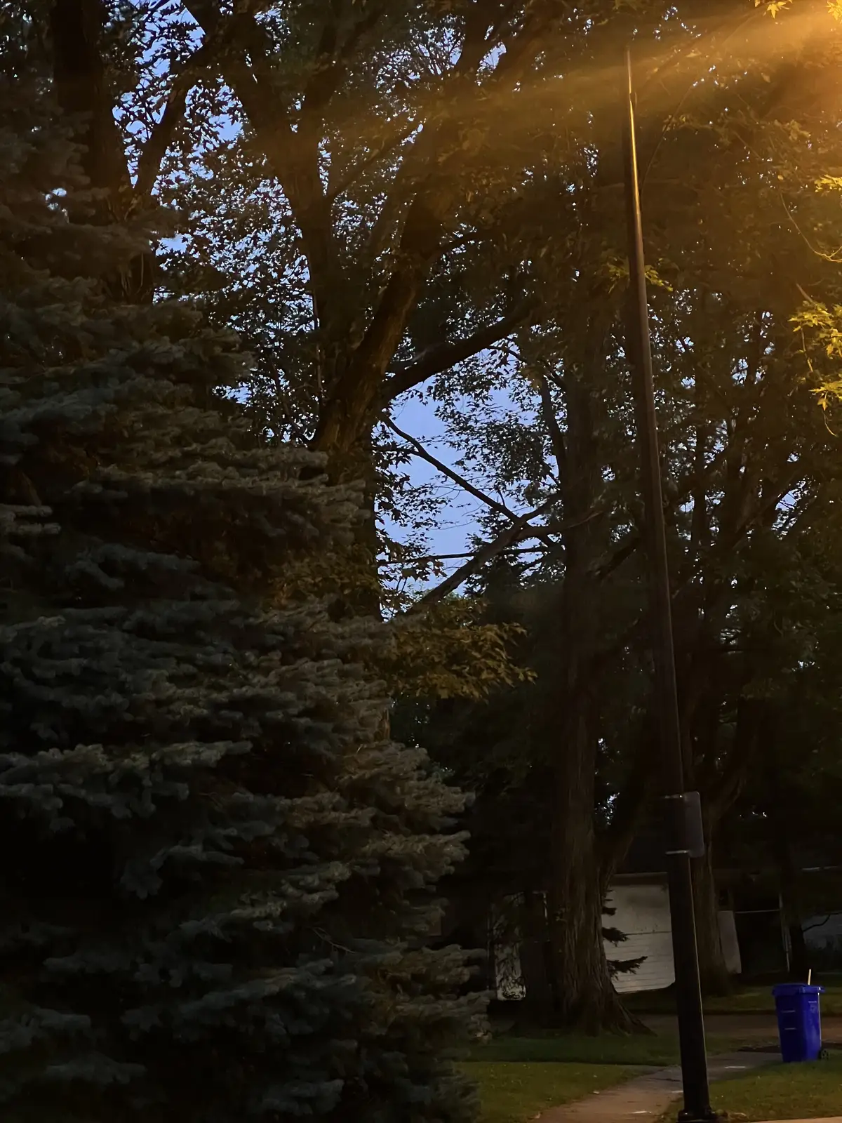 Streetlight serenity under a fading sky. Still Frame
