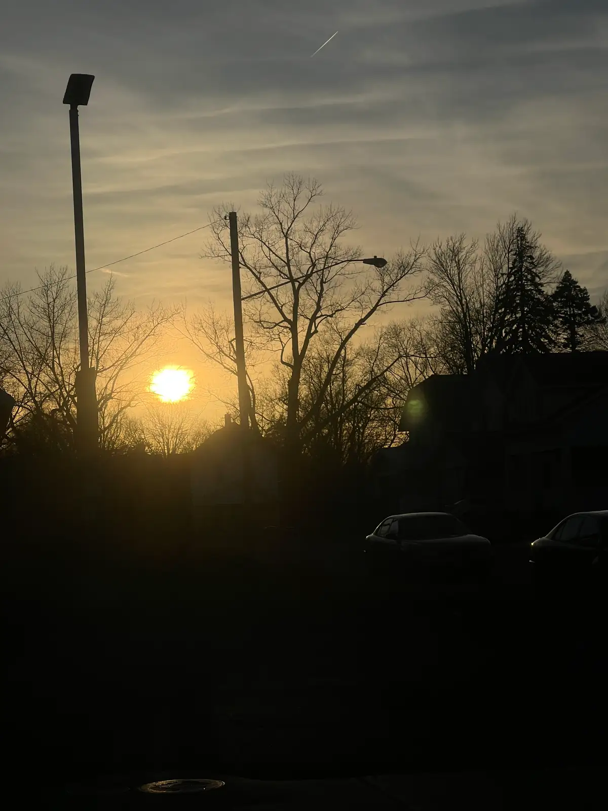 Golden hour dreams and silhouette scenes. Still Frame
