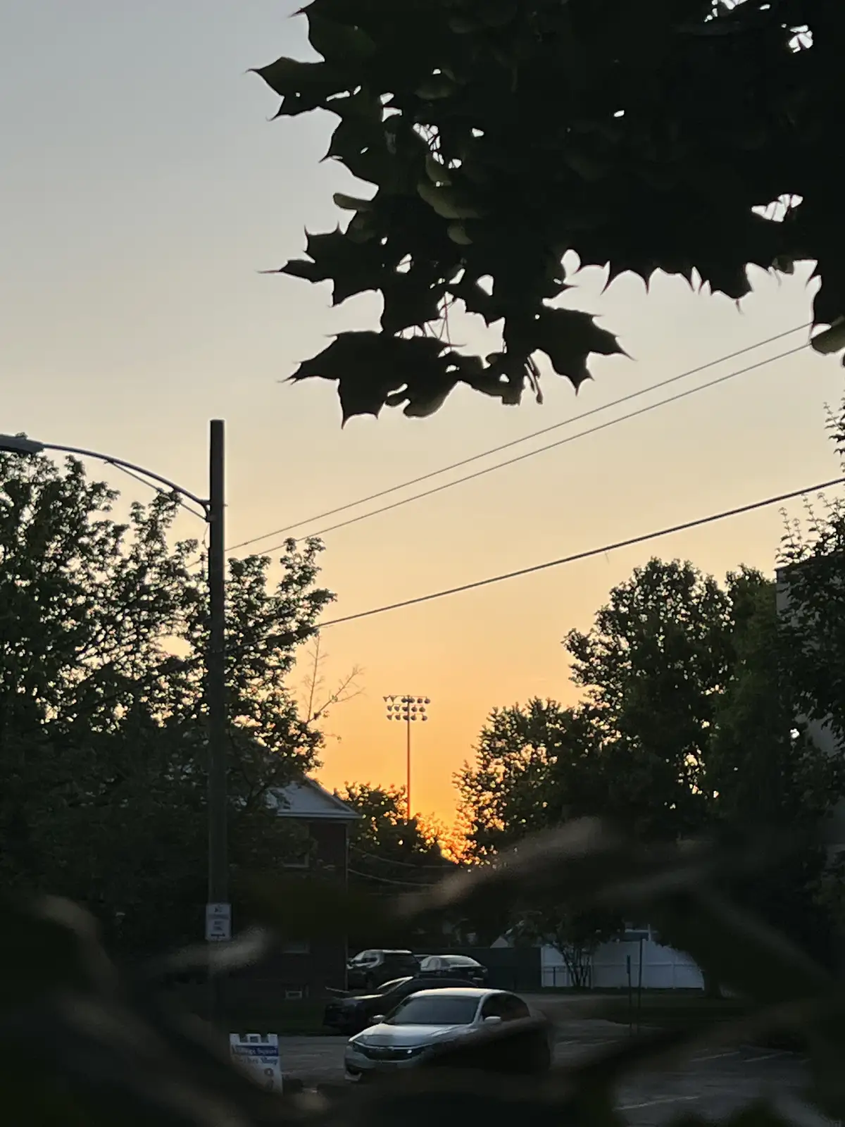 Golden hour glow over a quiet street. Still Frame