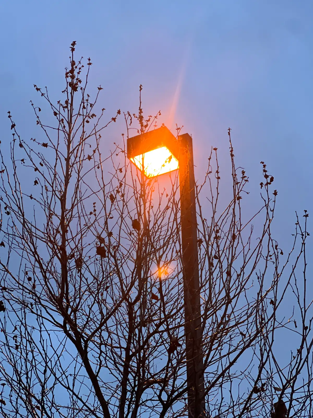 Warm glow against a cold sky. Still Frame