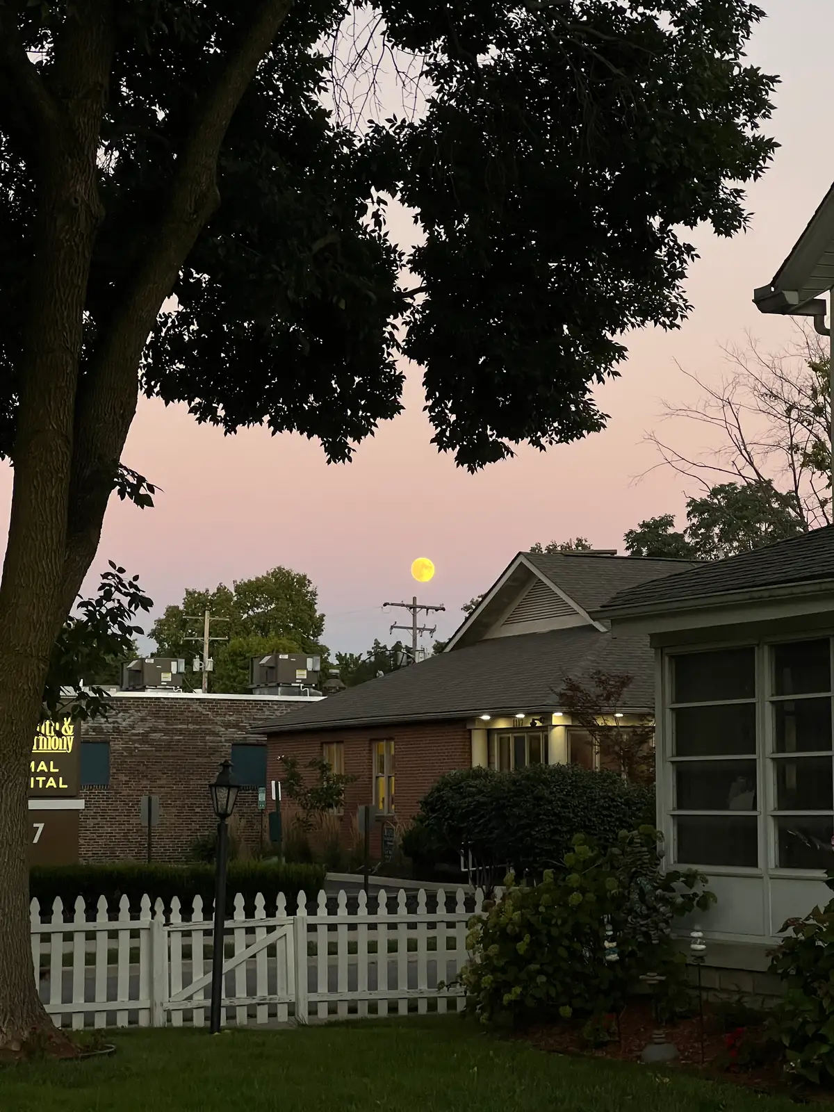Pink skies and a bright moon to end the day. Still Frame