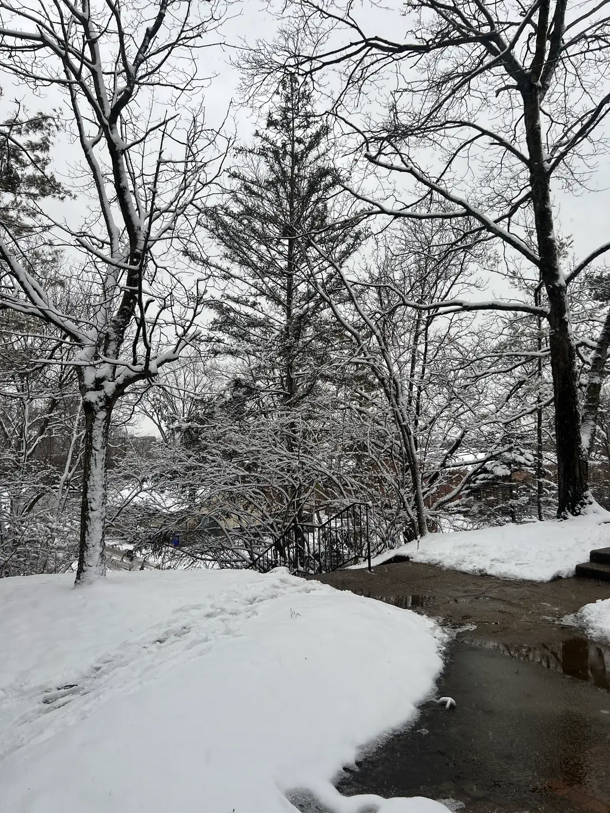 Snowy serenity on a winding trail. Still Frame