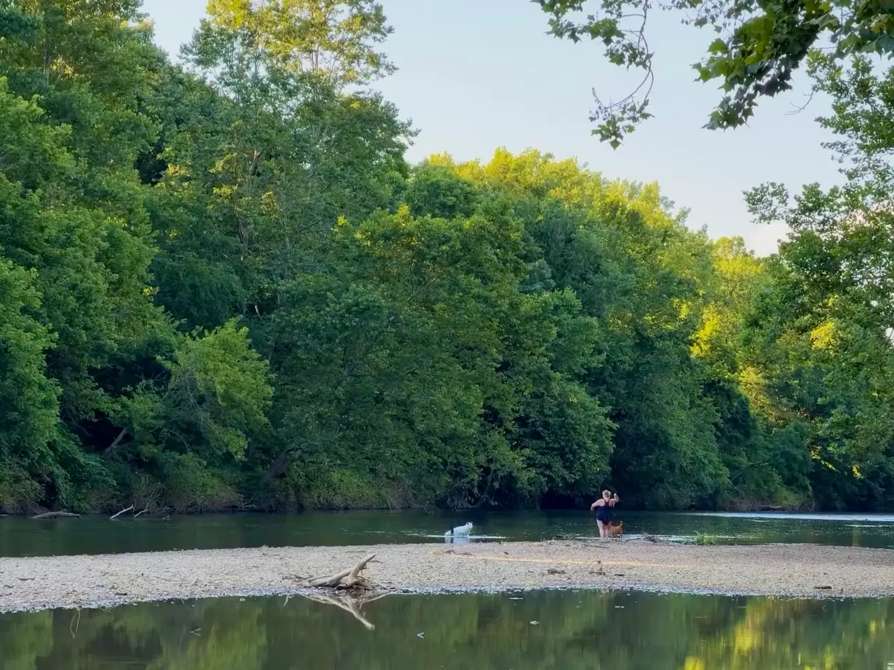River bliss with my best furry friends. Still Frame