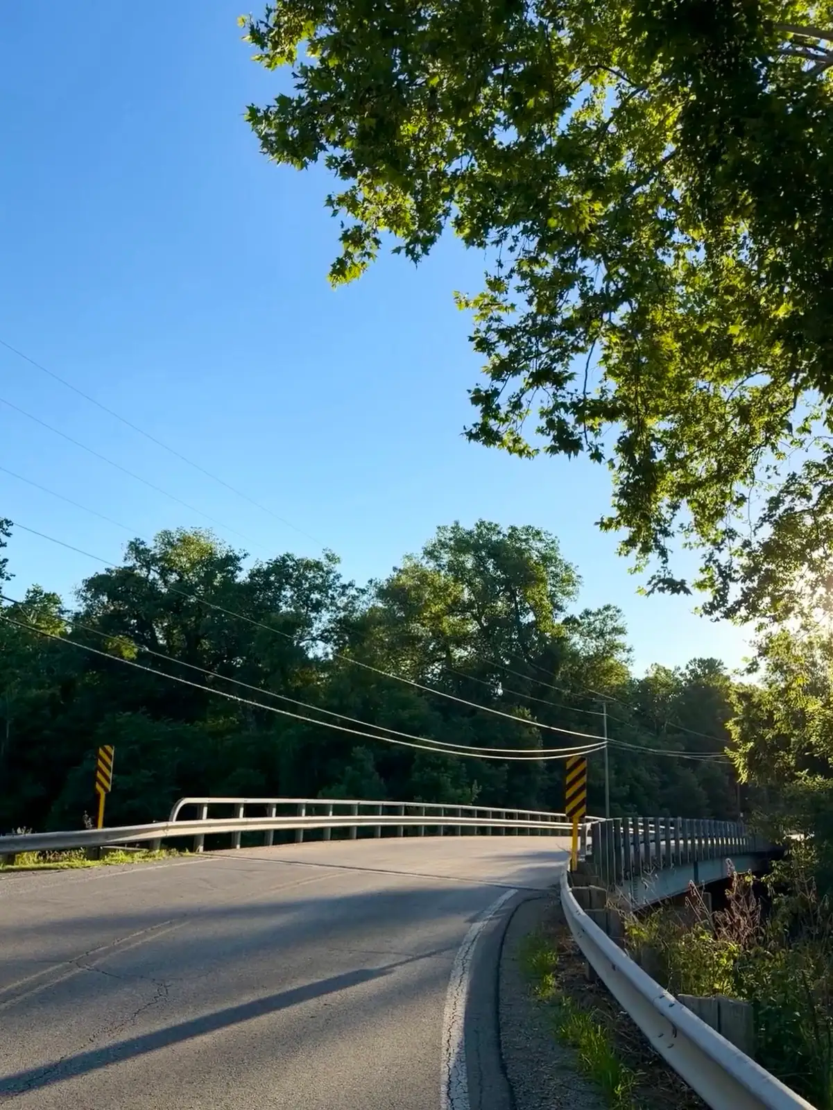 Sun-drenched road winding into a bright, natural escape. Still Frame
